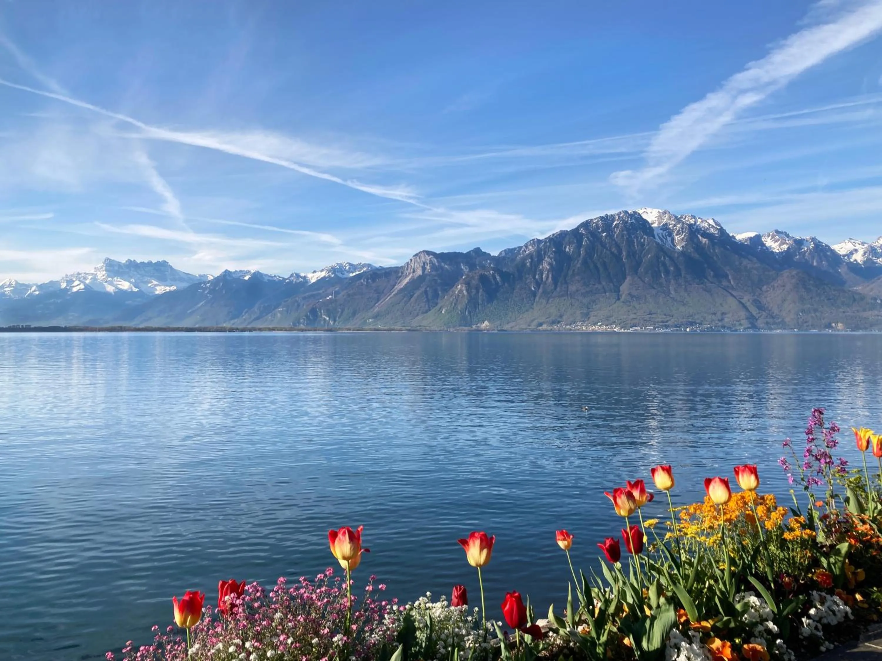 Lake view in Royal Plaza Montreux