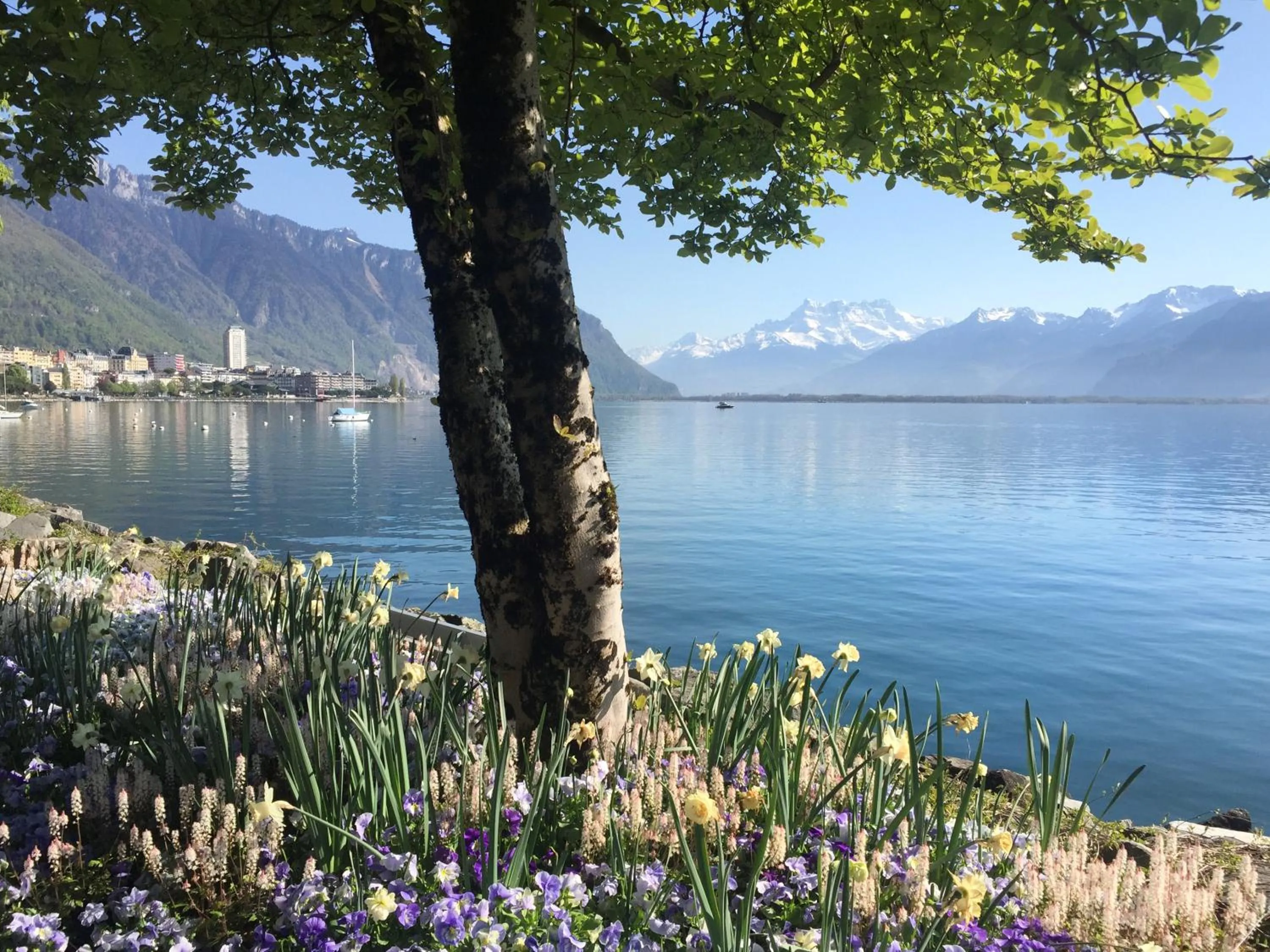 Lake view in Royal Plaza Montreux