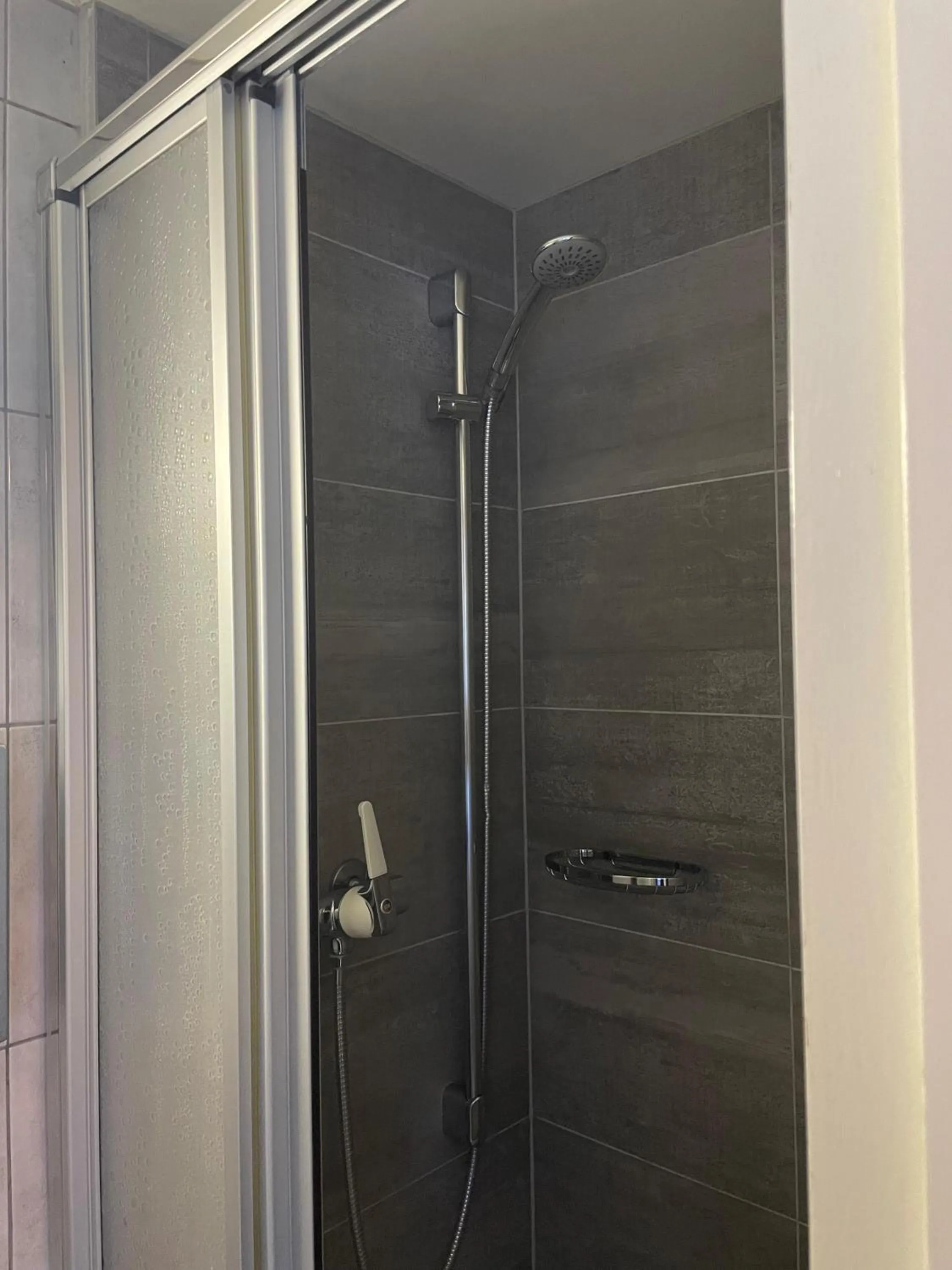 Shower in Hotel Europe Brig