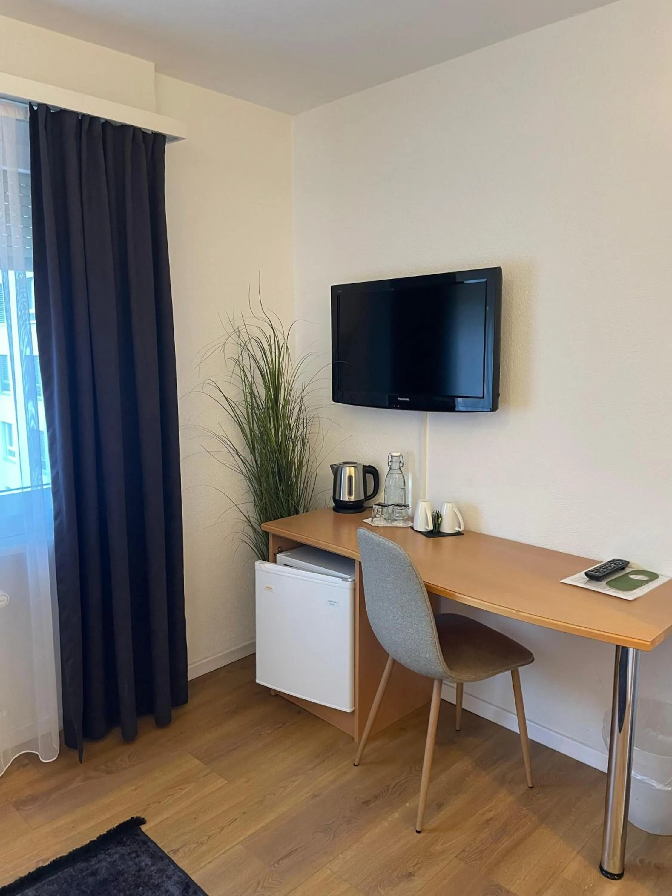 TV and multimedia in Hotel Europe Brig