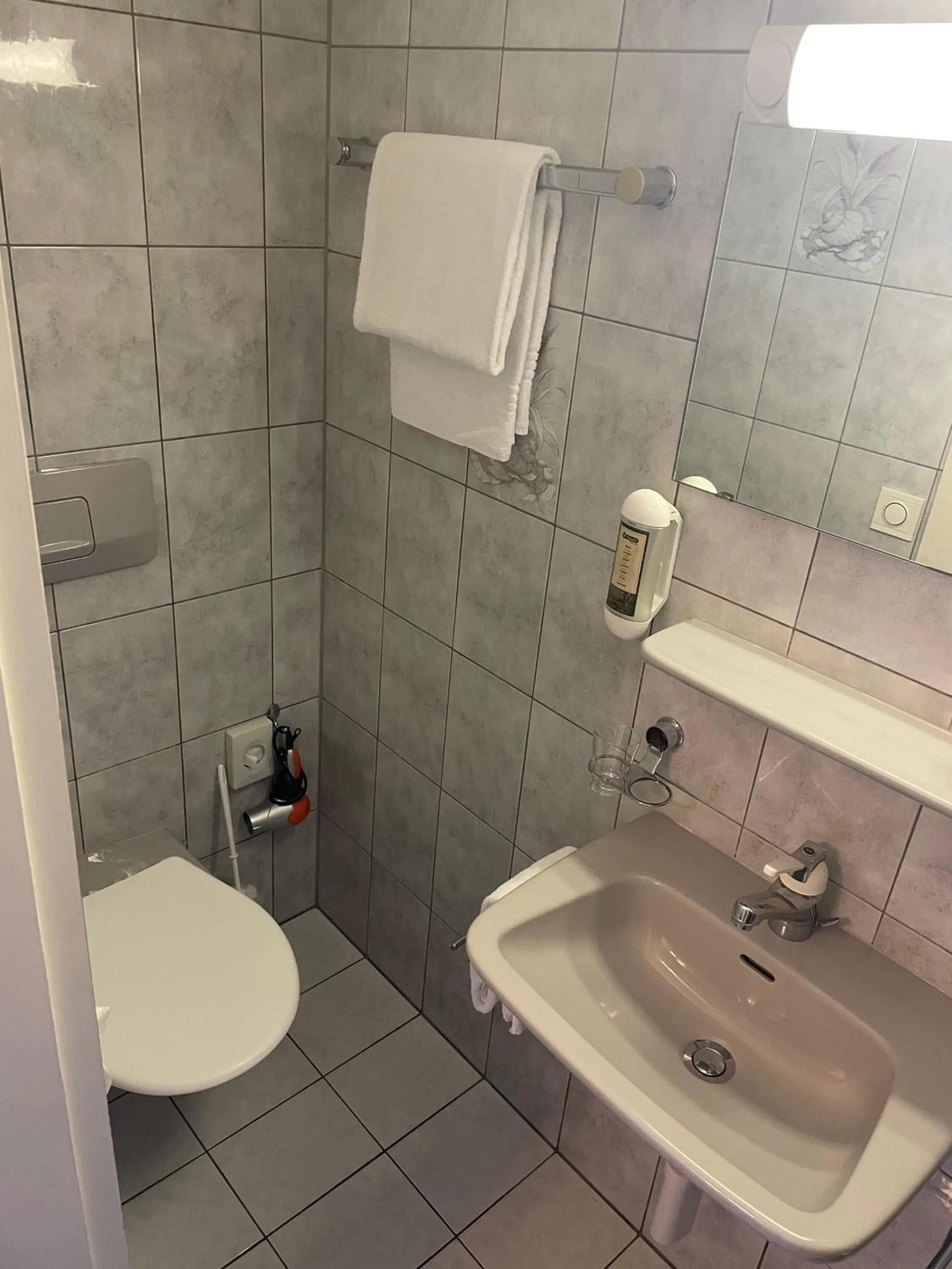 Toilet in Hotel Europe Brig