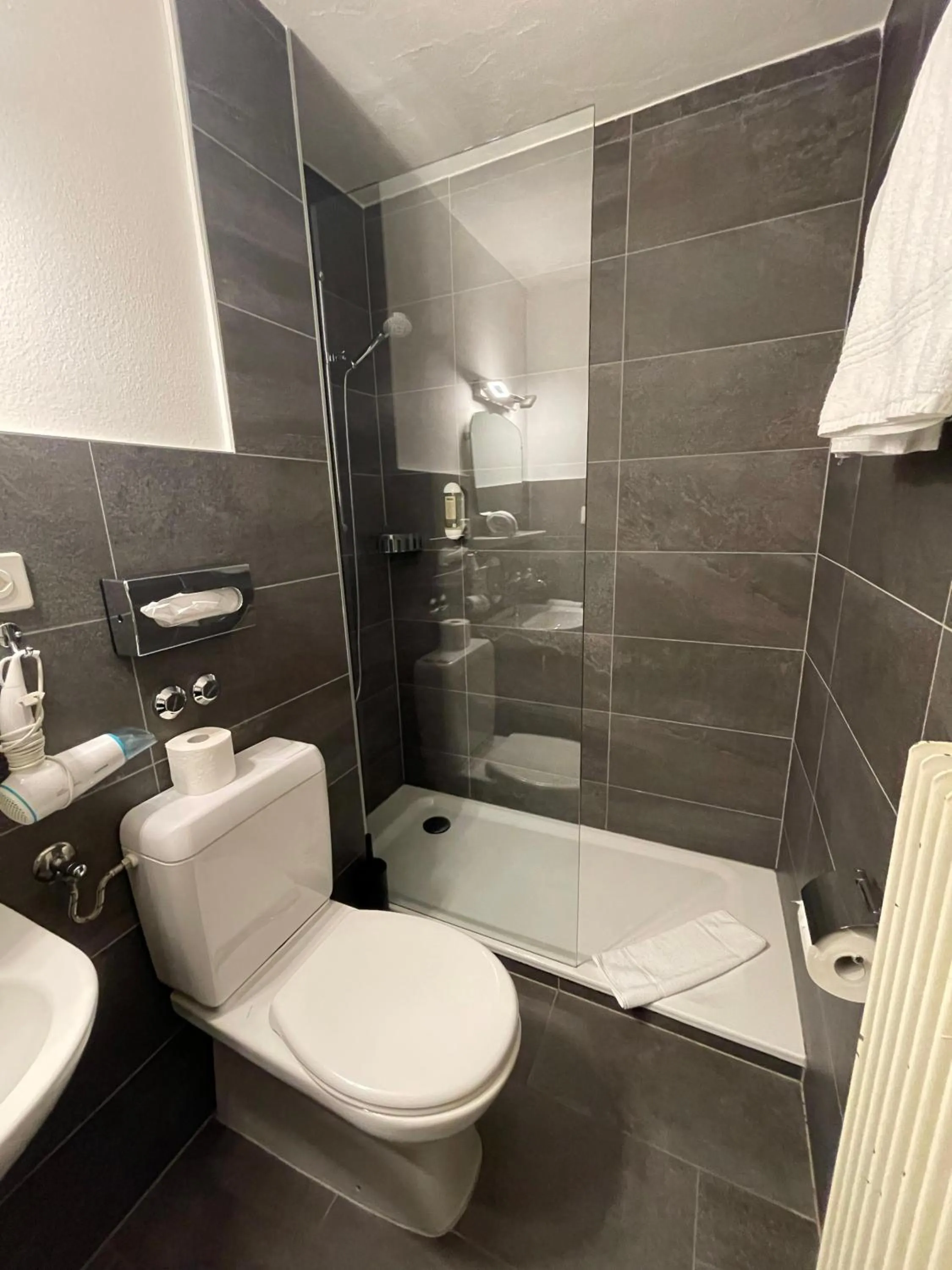 Shower in Hotel Europe Brig