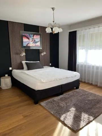 Budget Double Room - single occupancy in Hotel Europe Brig