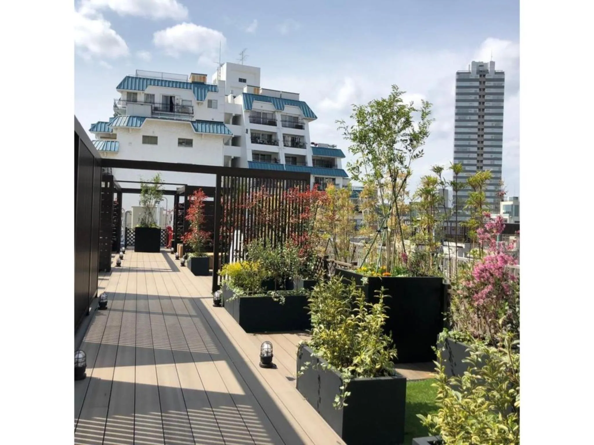 Act Hotel Roppongi - Vacation STAY 84278