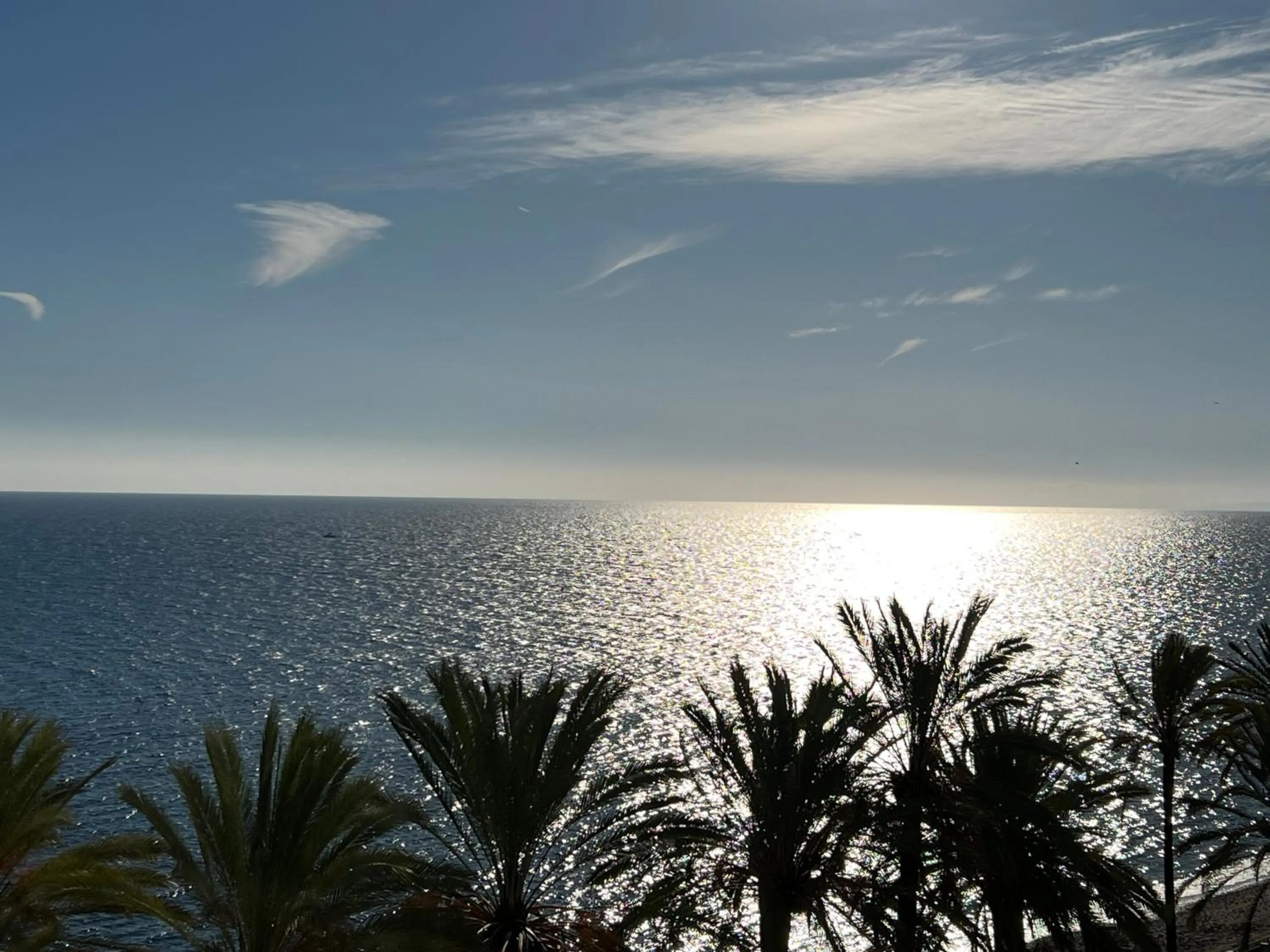 Studio Apartment in Las Palmas 1