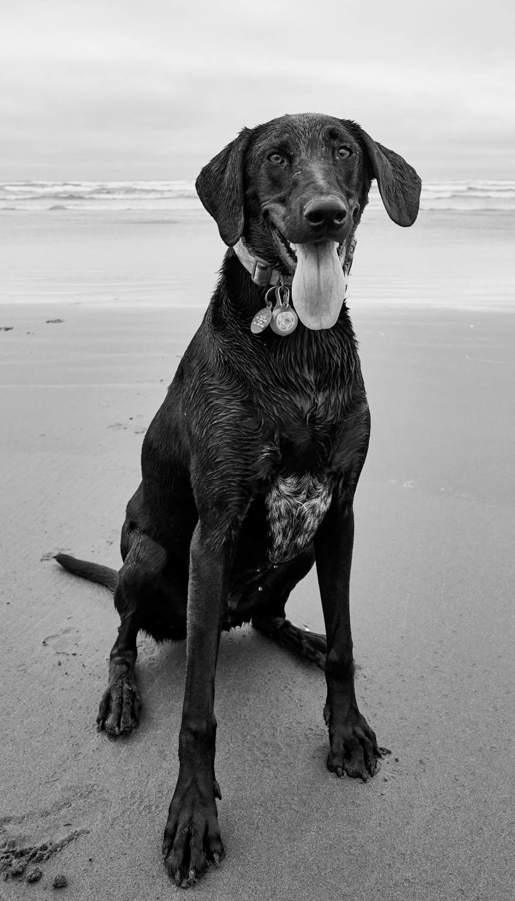 Animals in Pacific Dunes Resort