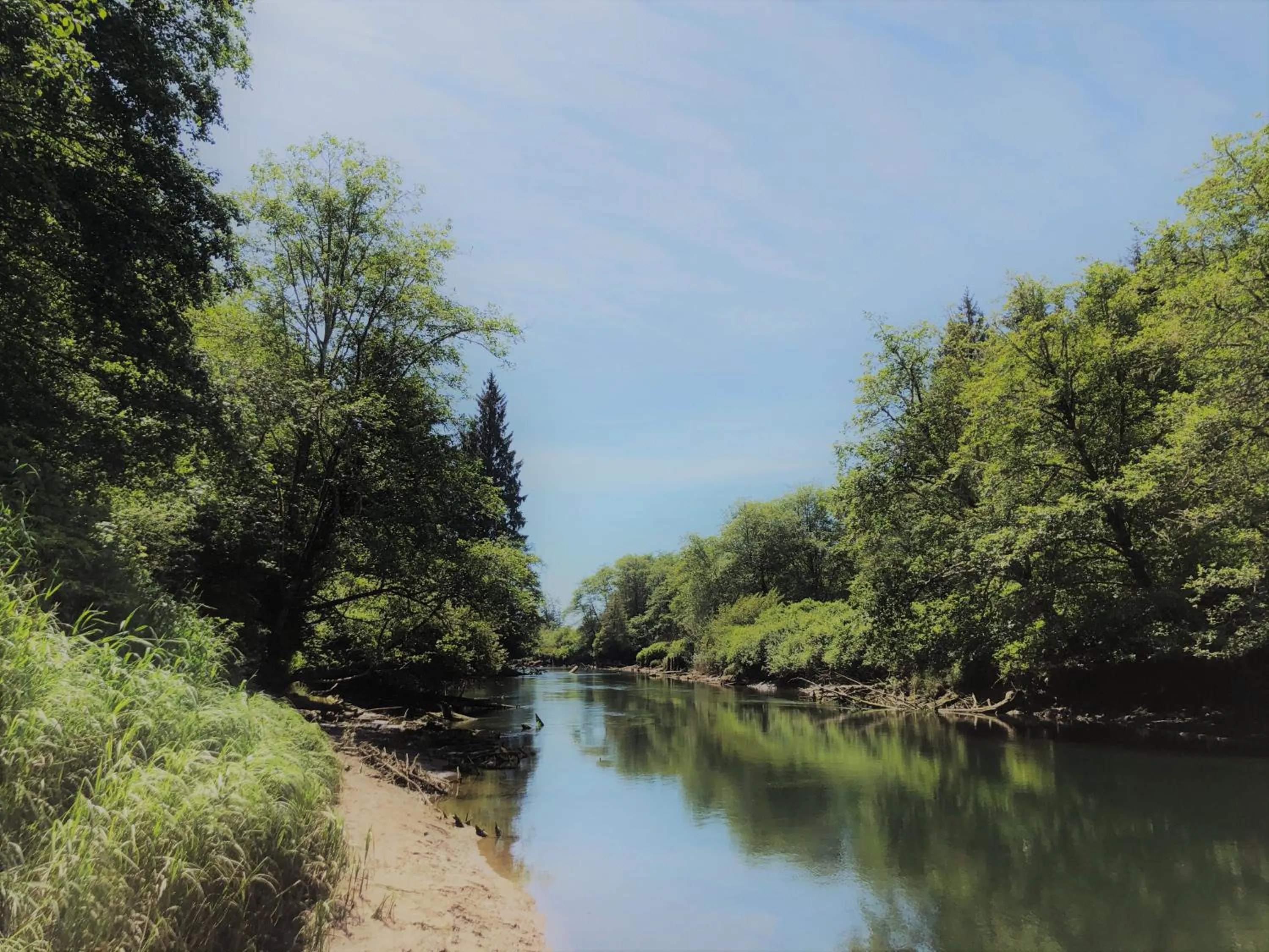 Natural landscape in Pacific Dunes Resort