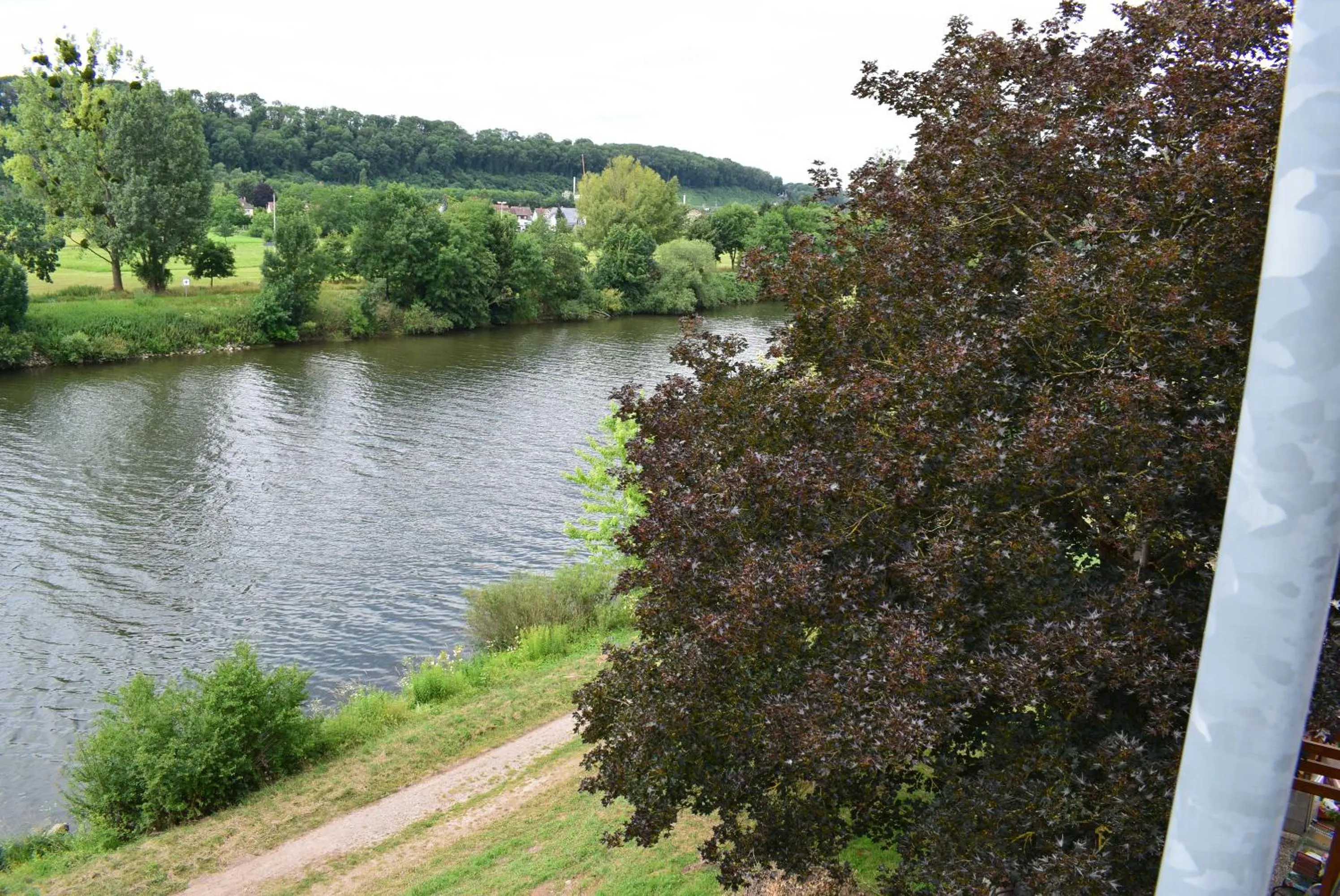 Natural landscape in Apartments mit Klimaanlage am Neckarufer, Schöne Aussicht