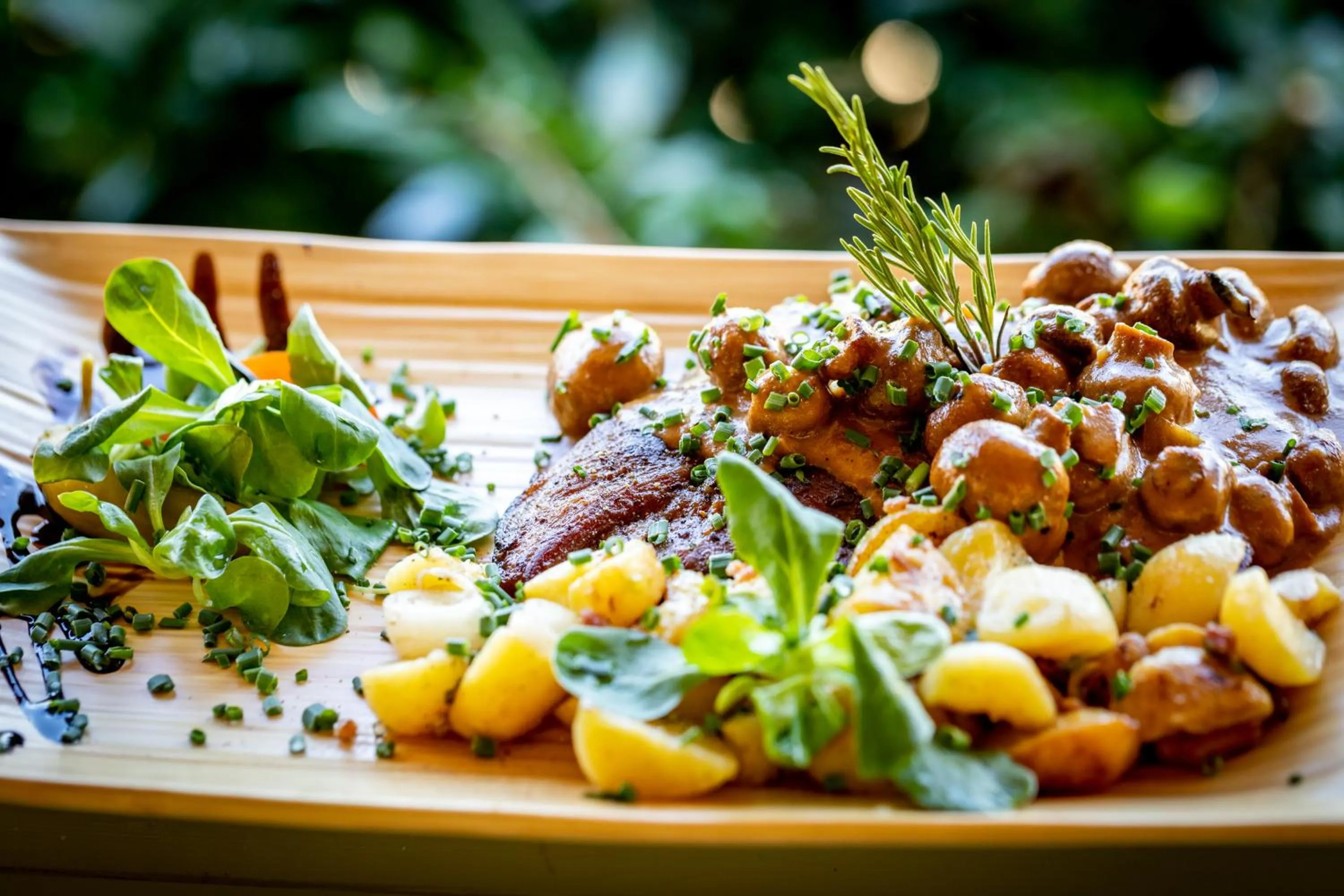 Restaurant/places to eat in Forsthaus Thiemsburg im Nationalpark Hainich