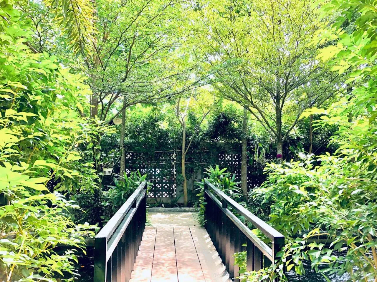 Natural landscape in Raing Phnom Bungalow