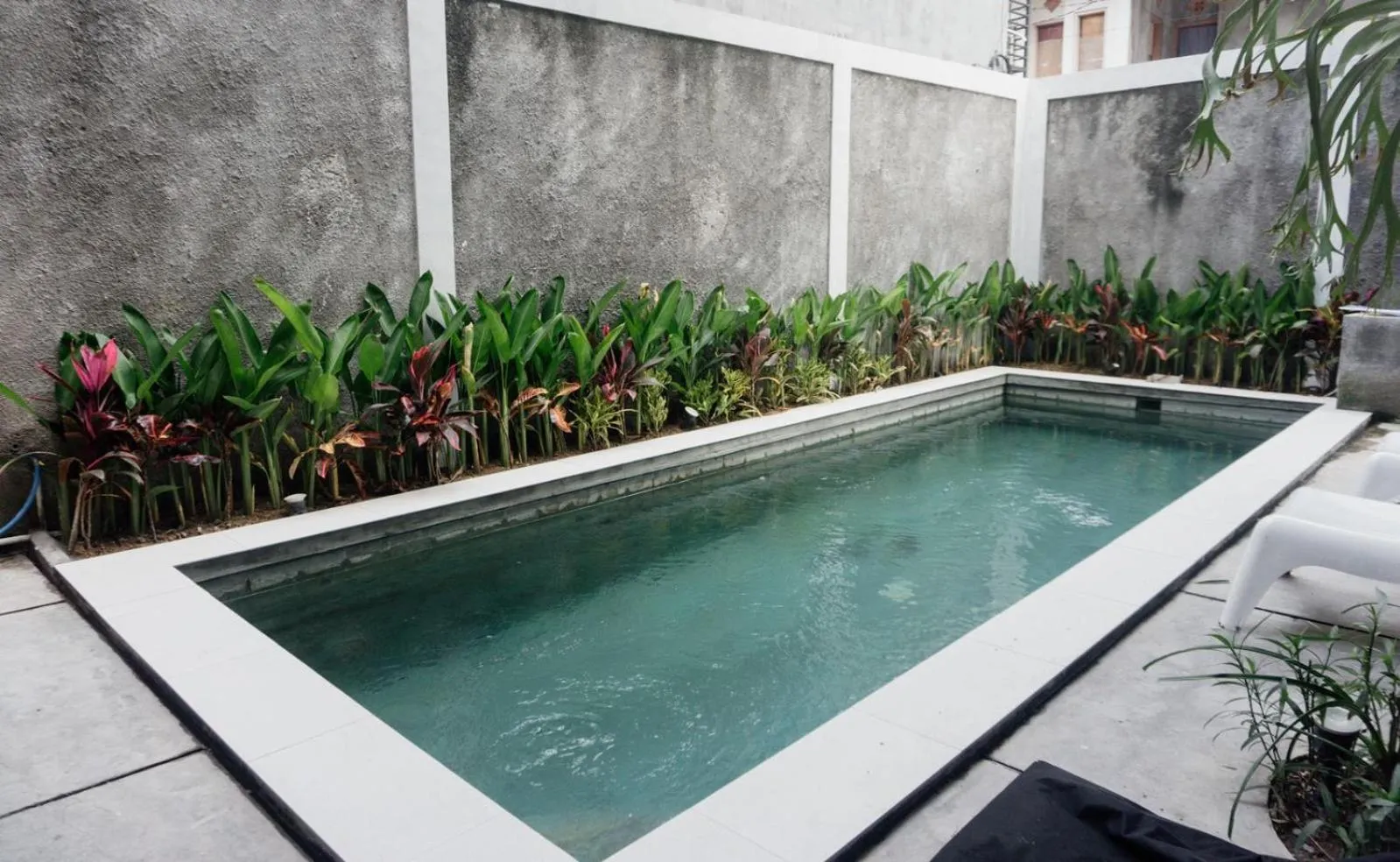 Swimming pool in Escotel Vanili Guest House