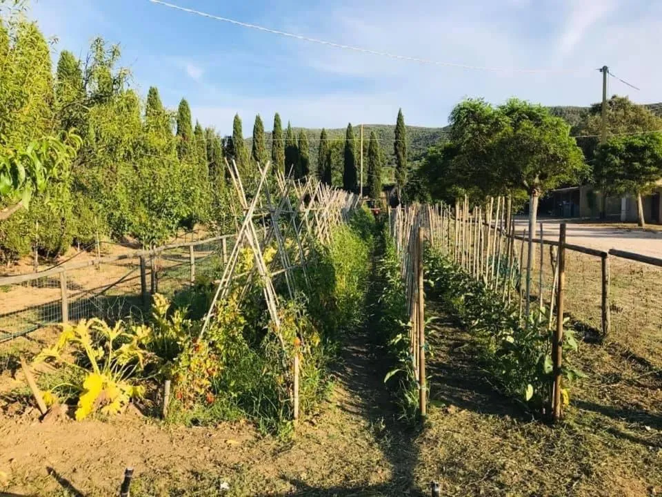 Casale Caterina Agriresort