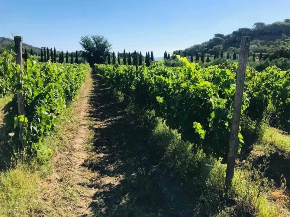 Casale Caterina Agriresort