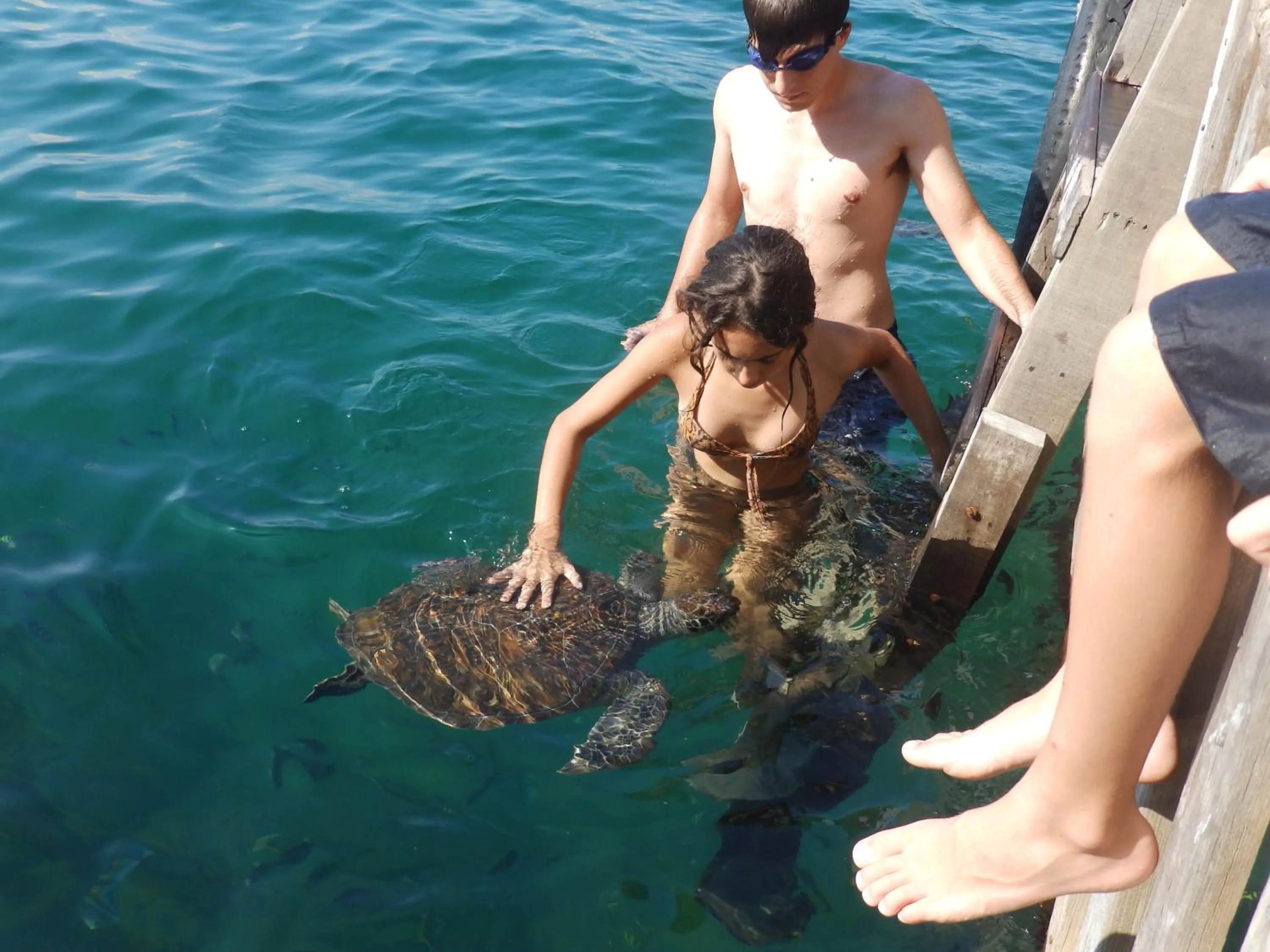 Entertainment in Pousada Cruzoé