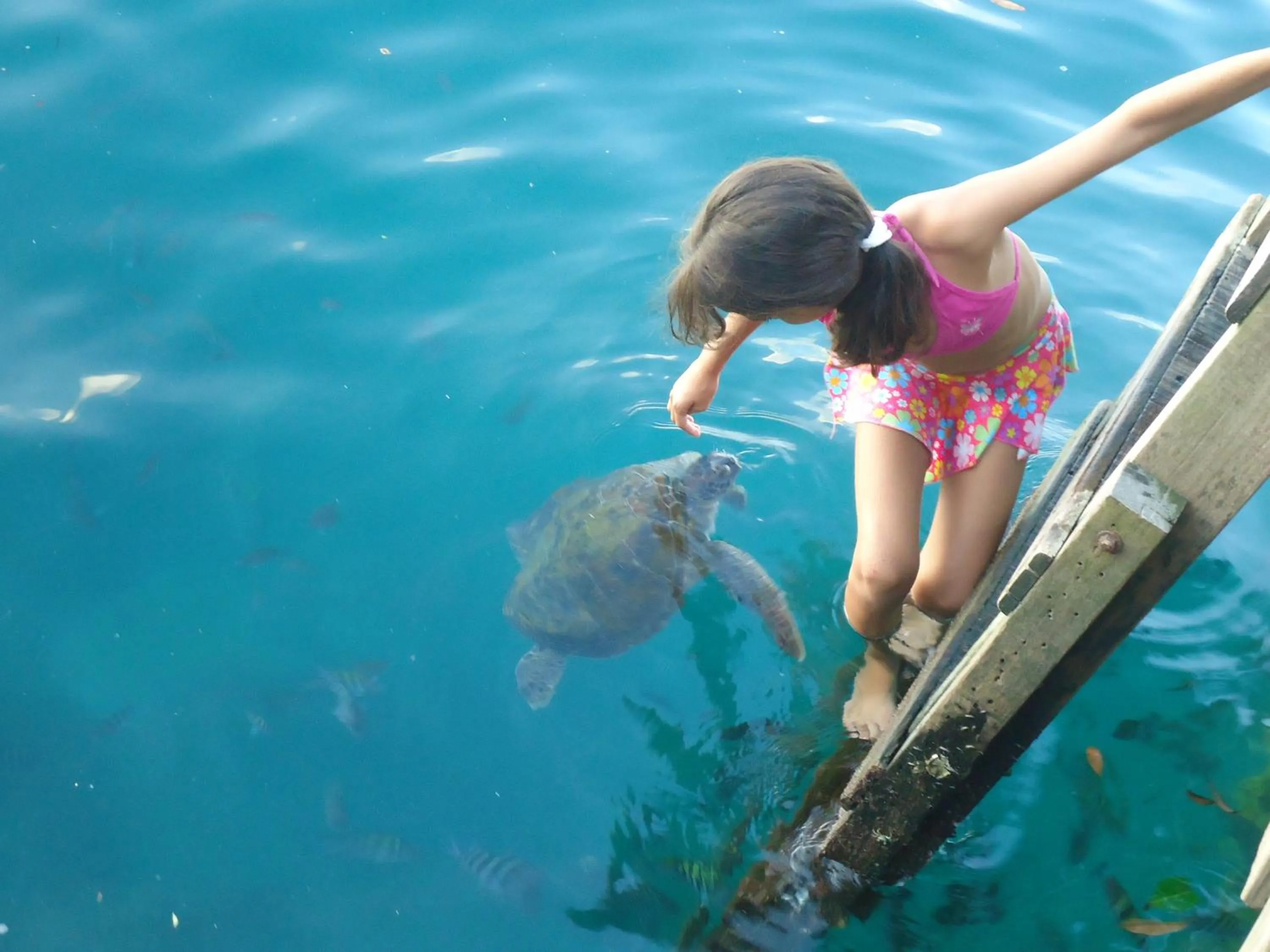 Entertainment in Pousada Cruzoé