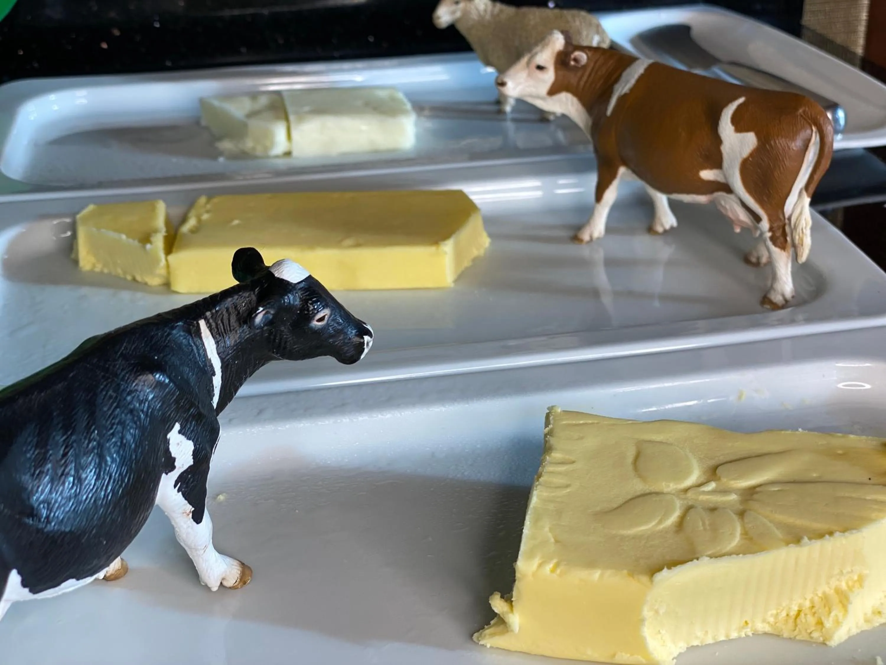 Breakfast in GAIA Hotel Basel - the sustainable 4 star hotel