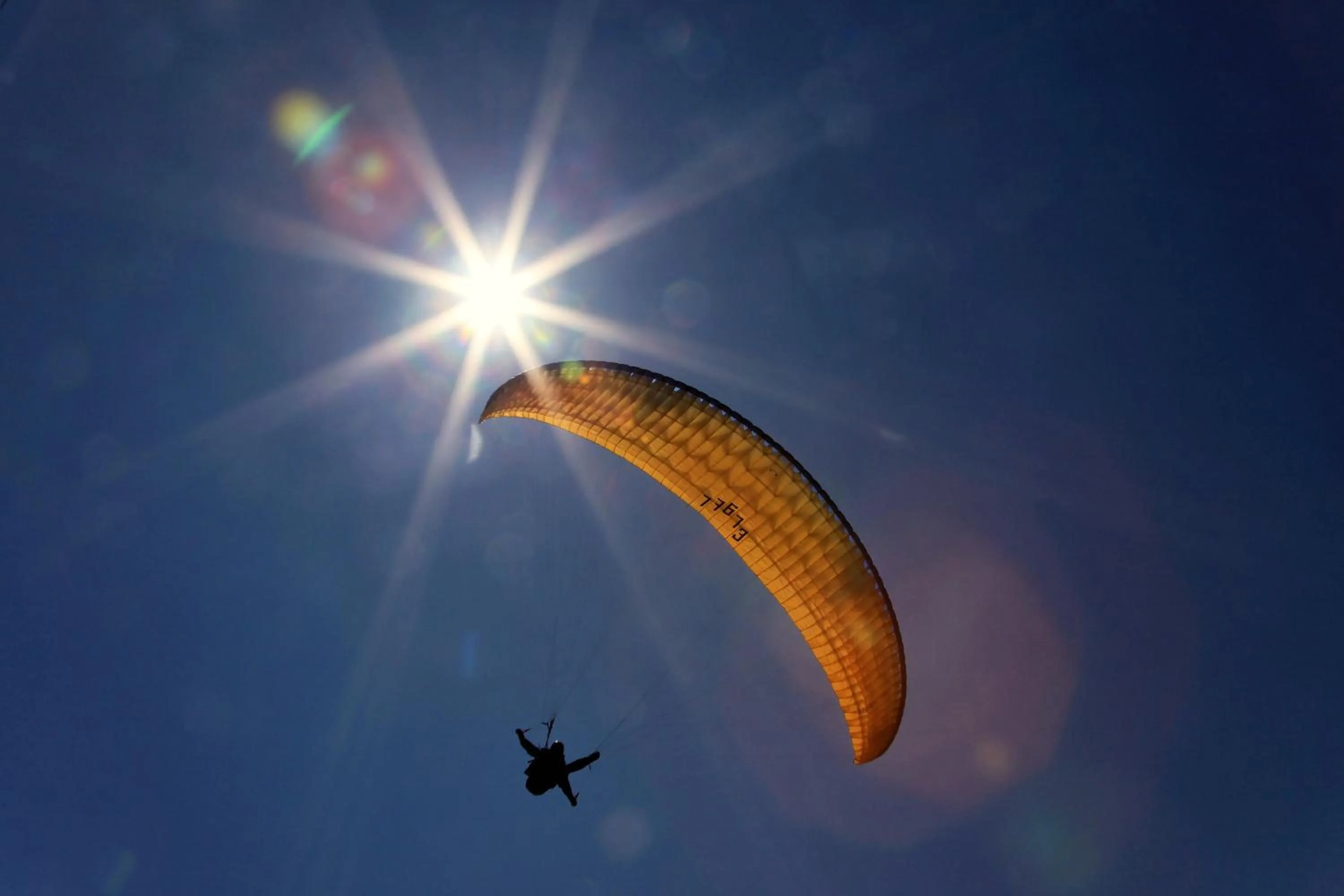 Area and facilities in Hotel Rischli