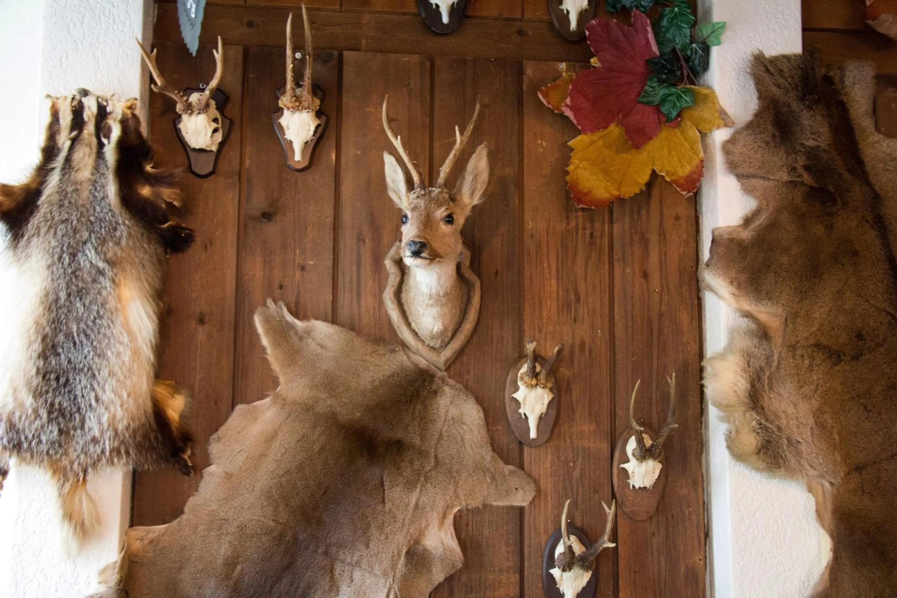 Restaurant/places to eat in Hotel Rischli