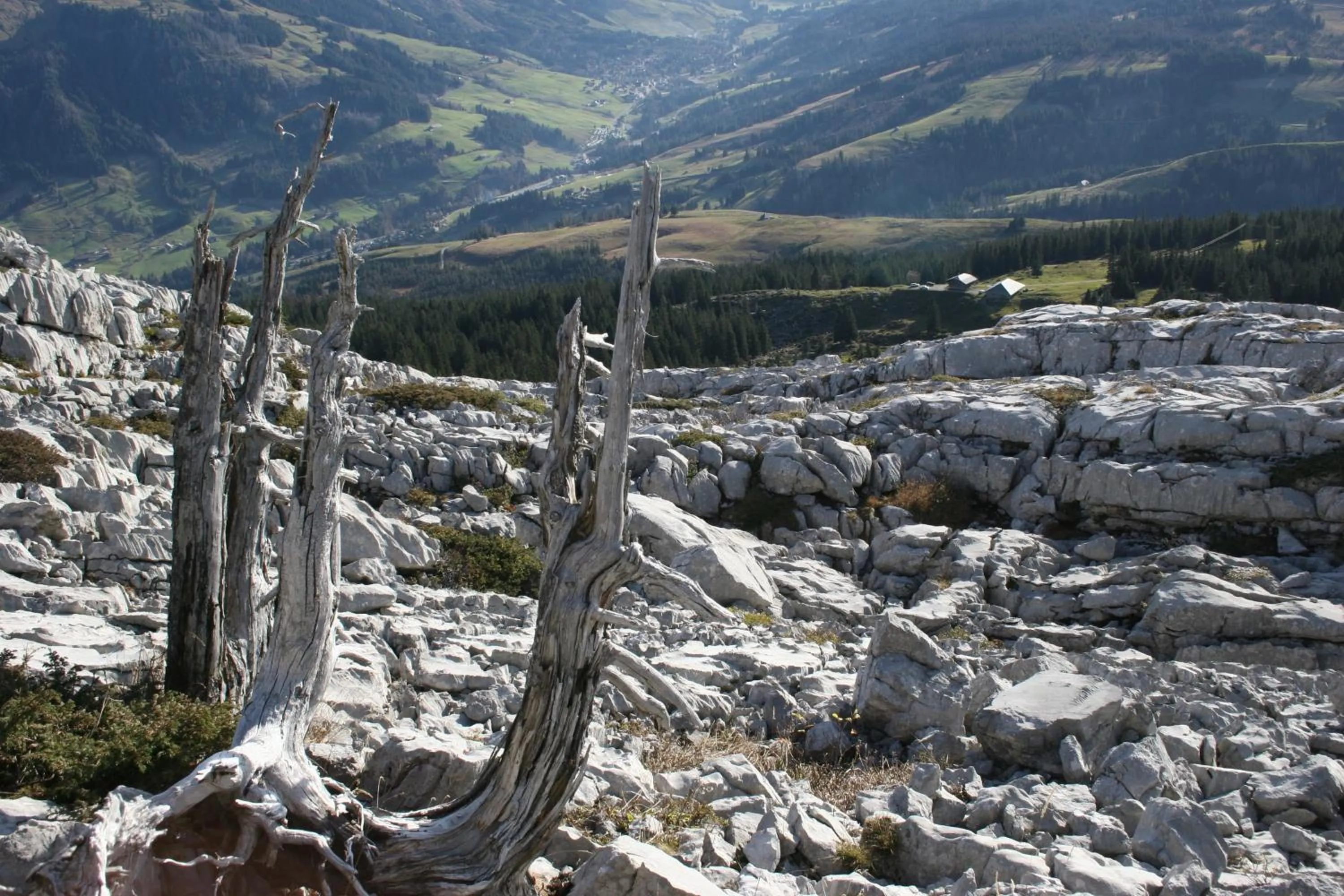 Hiking in Hotel Rischli