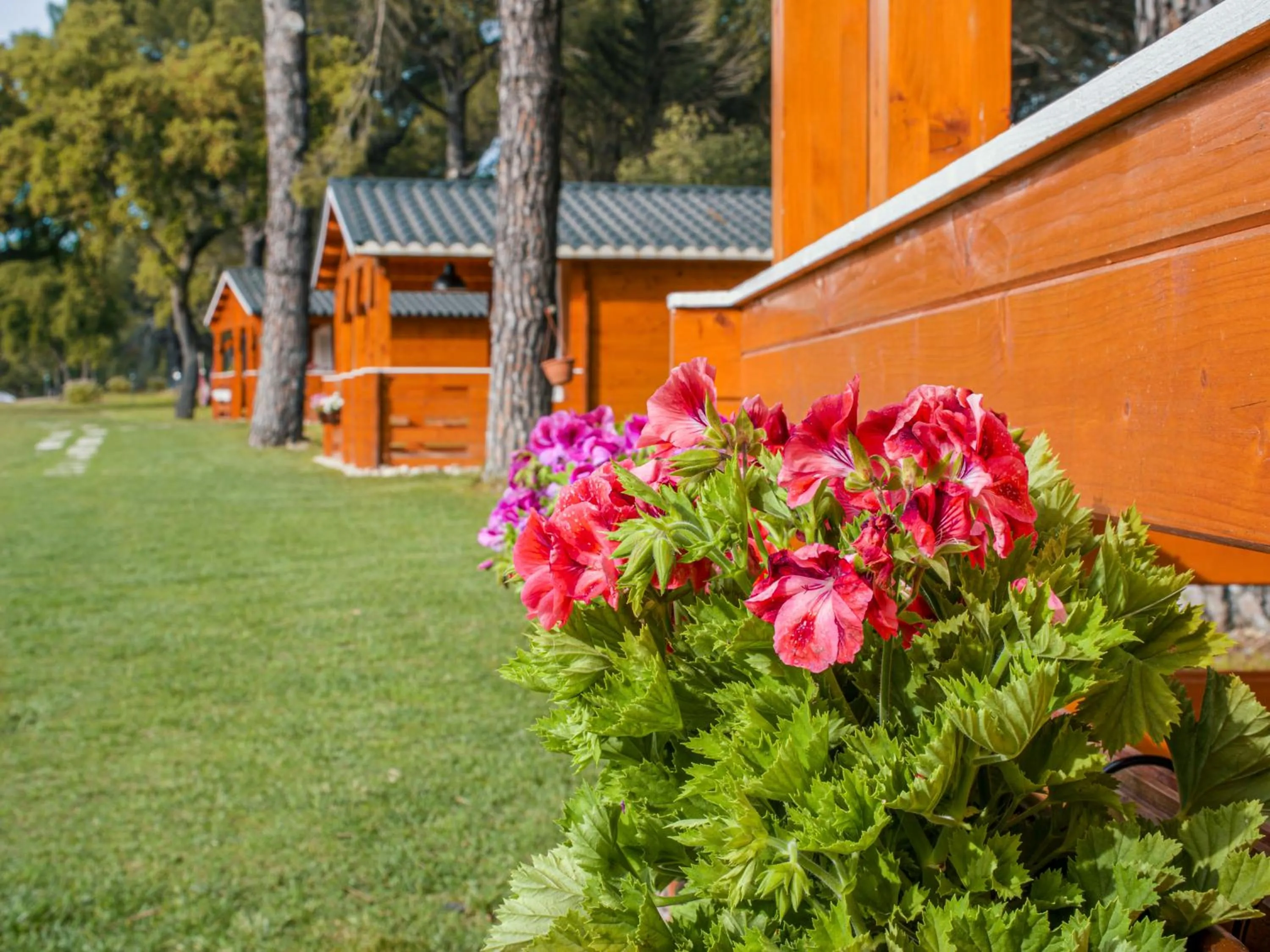 Chalet do Lago