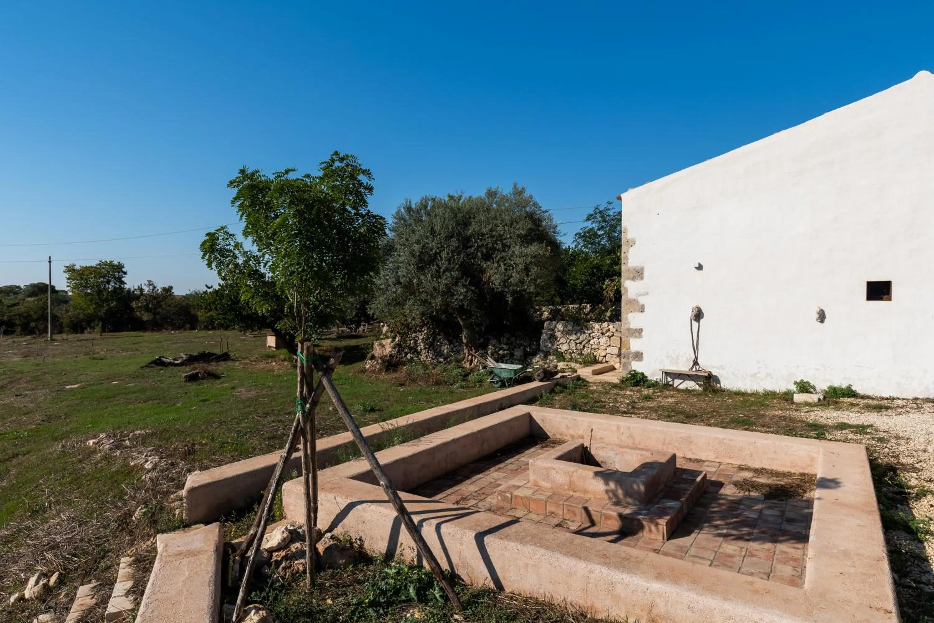 Garden in Casa Balat