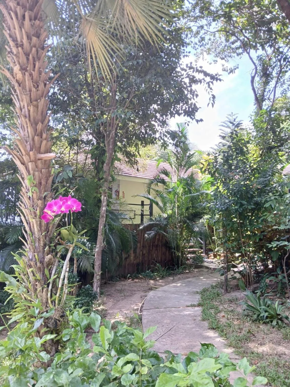 Garden in Jasmin Garden Koh Kood