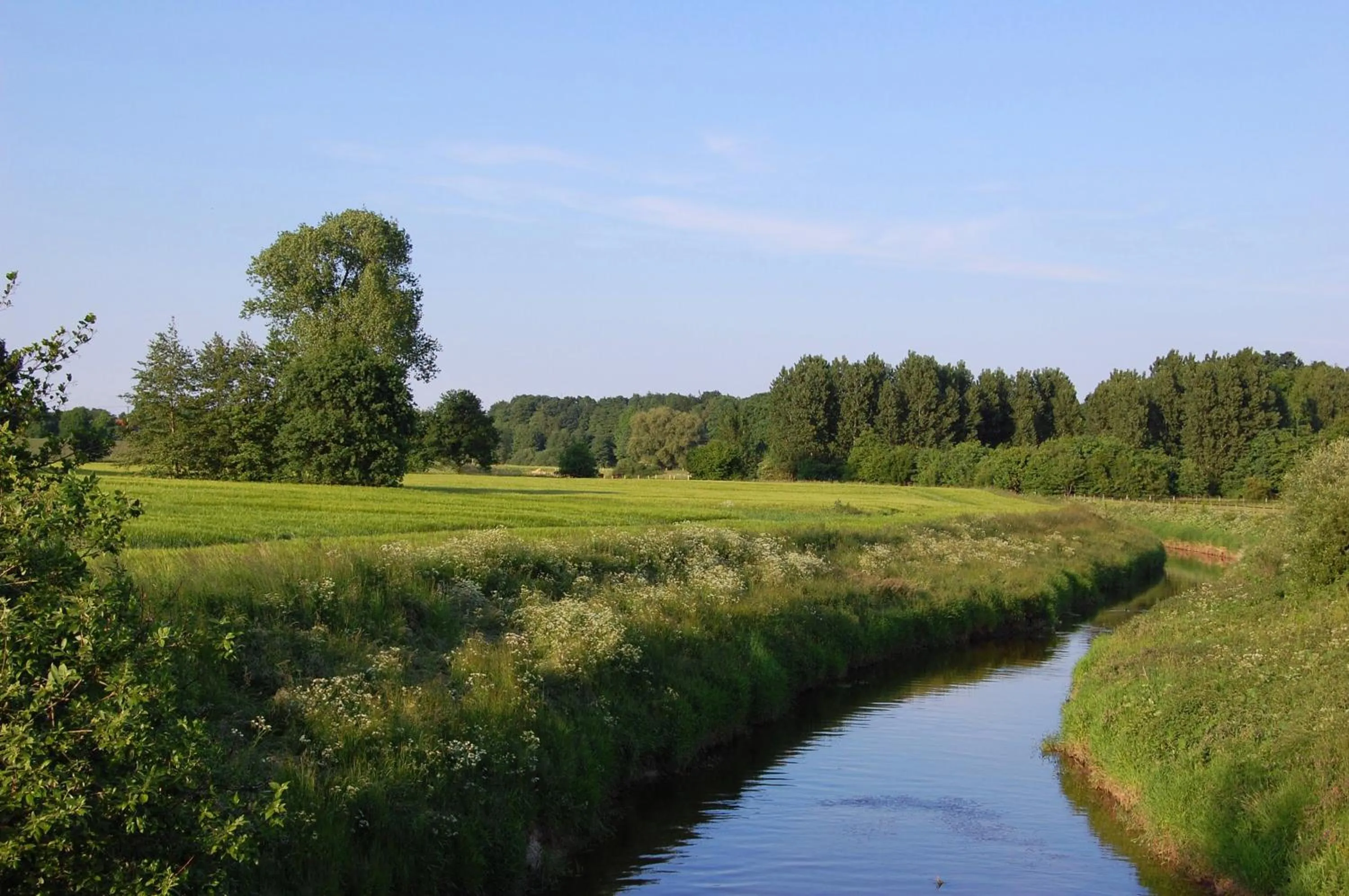 Natural landscape in Landidyll Wilminks Parkhotel