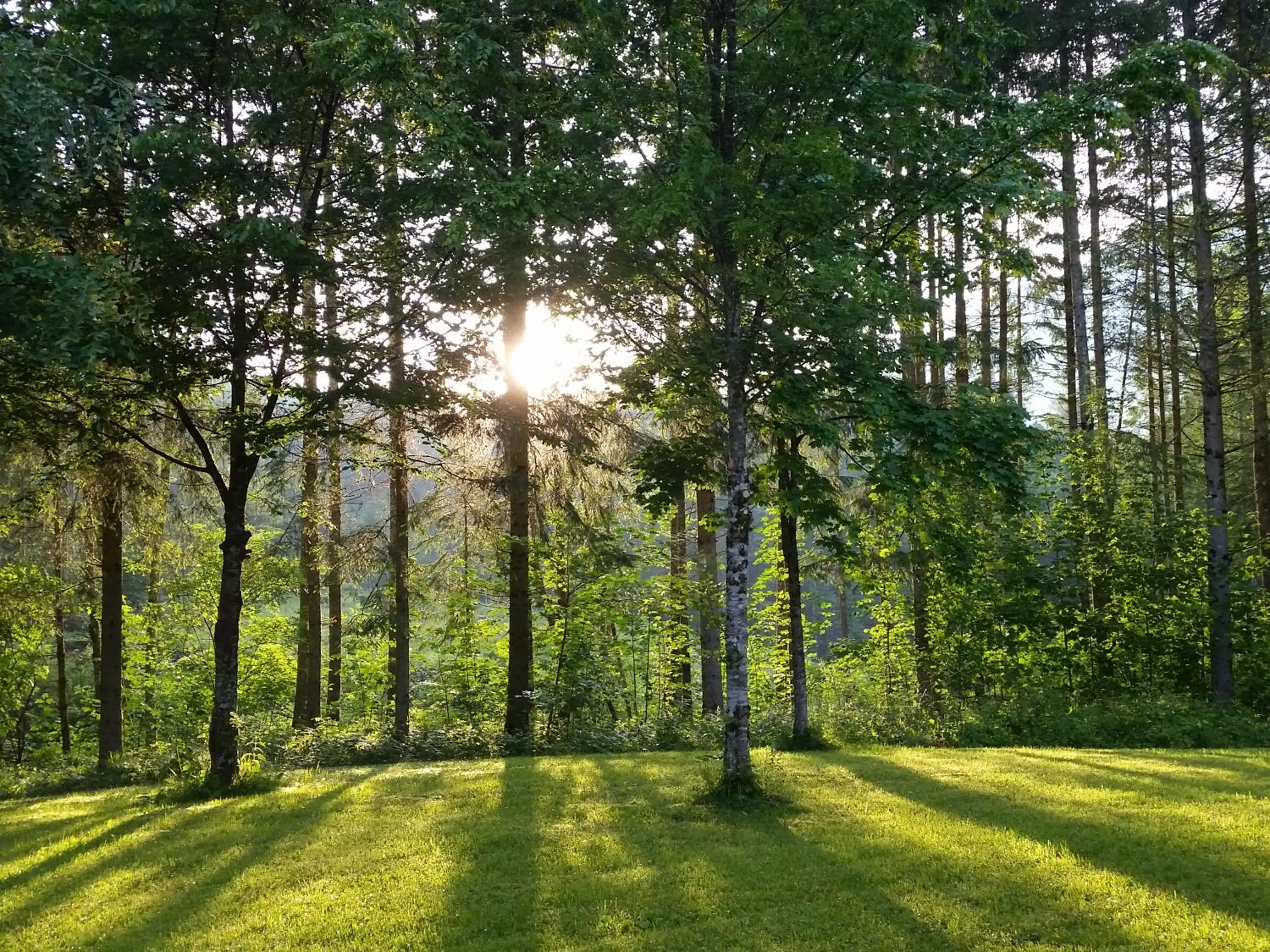 Natural landscape in Sporthotel Grünau - Wimmergreuth