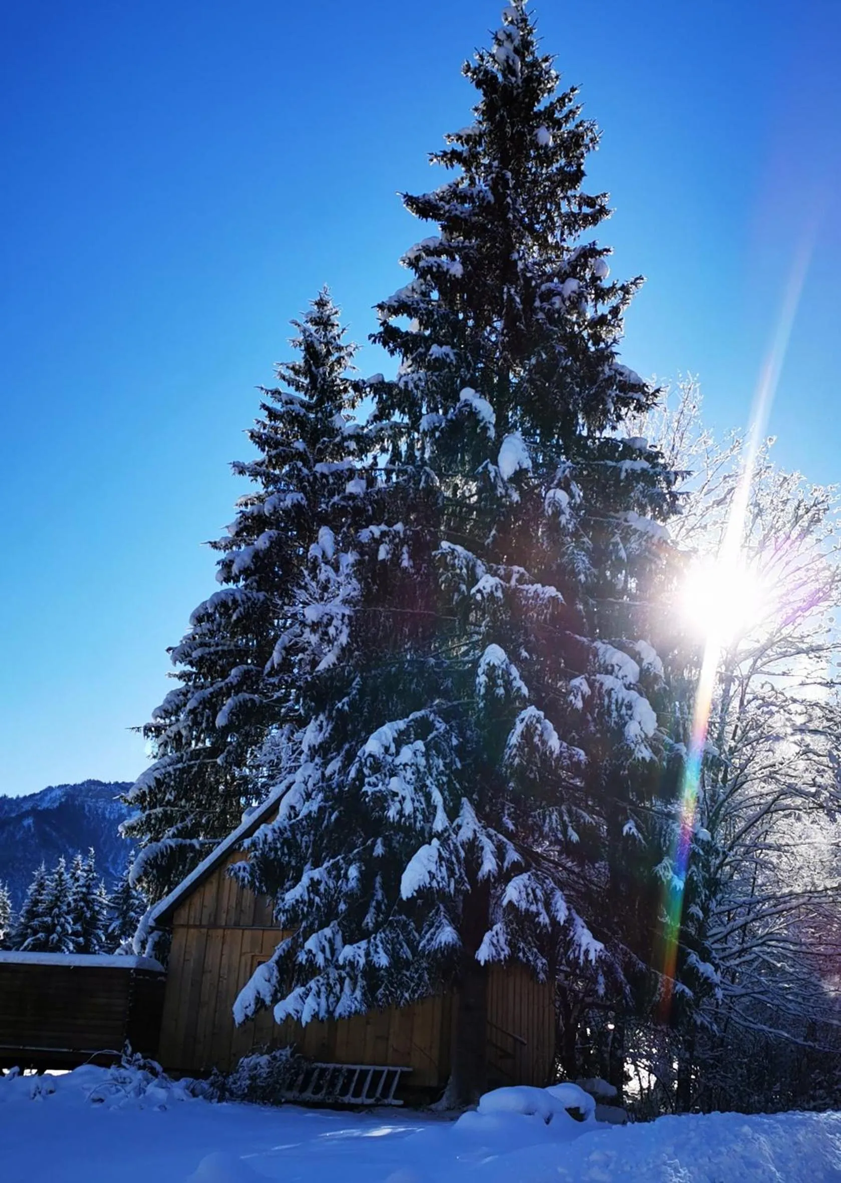 Winter in Sporthotel Grünau - Wimmergreuth