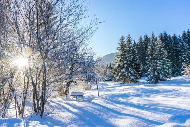 Natural landscape in Sporthotel Grünau - Wimmergreuth