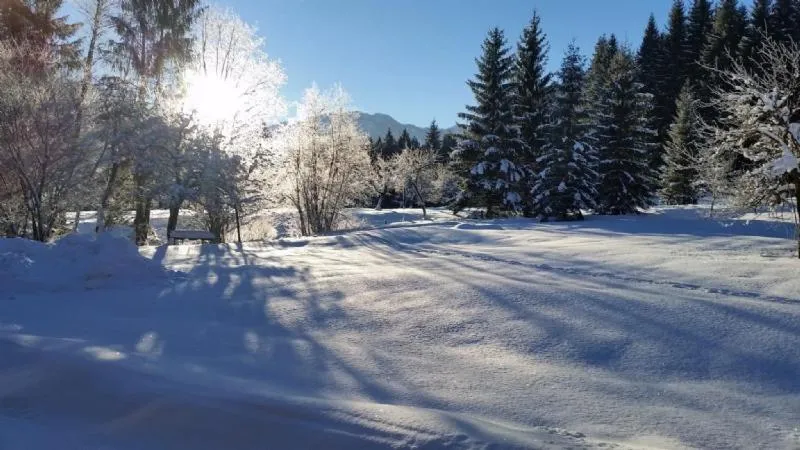 Natural landscape in Sporthotel Grünau - Wimmergreuth