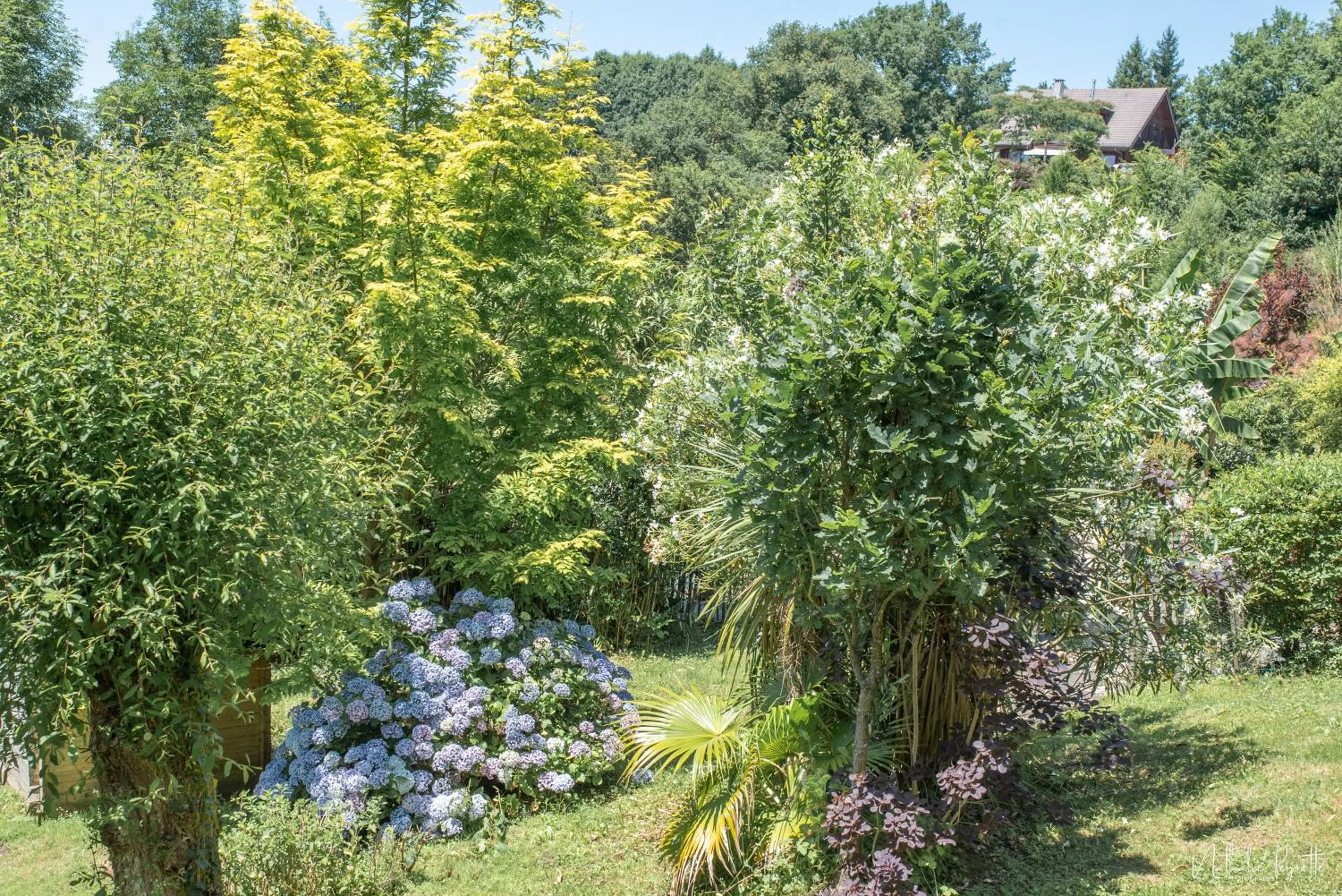 Garden in Le lodge sur pilotis
