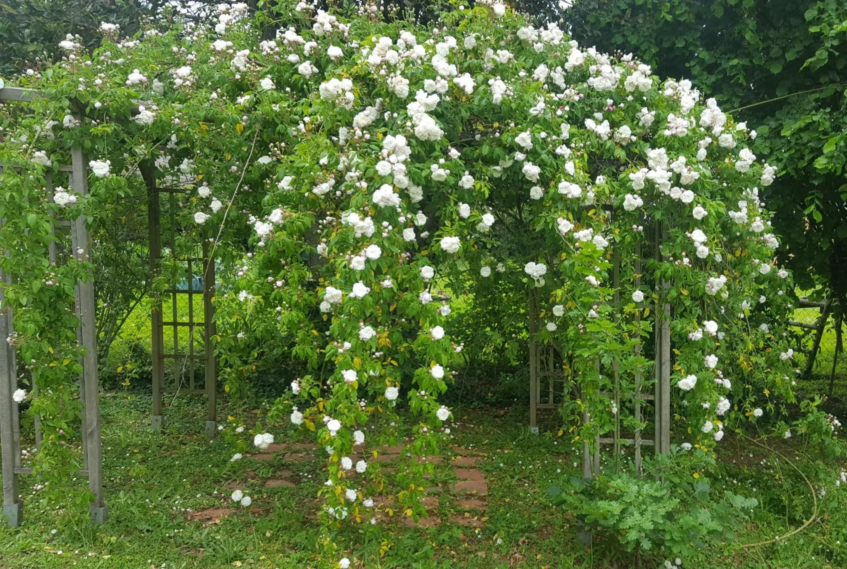 Garden in La Villa Camille