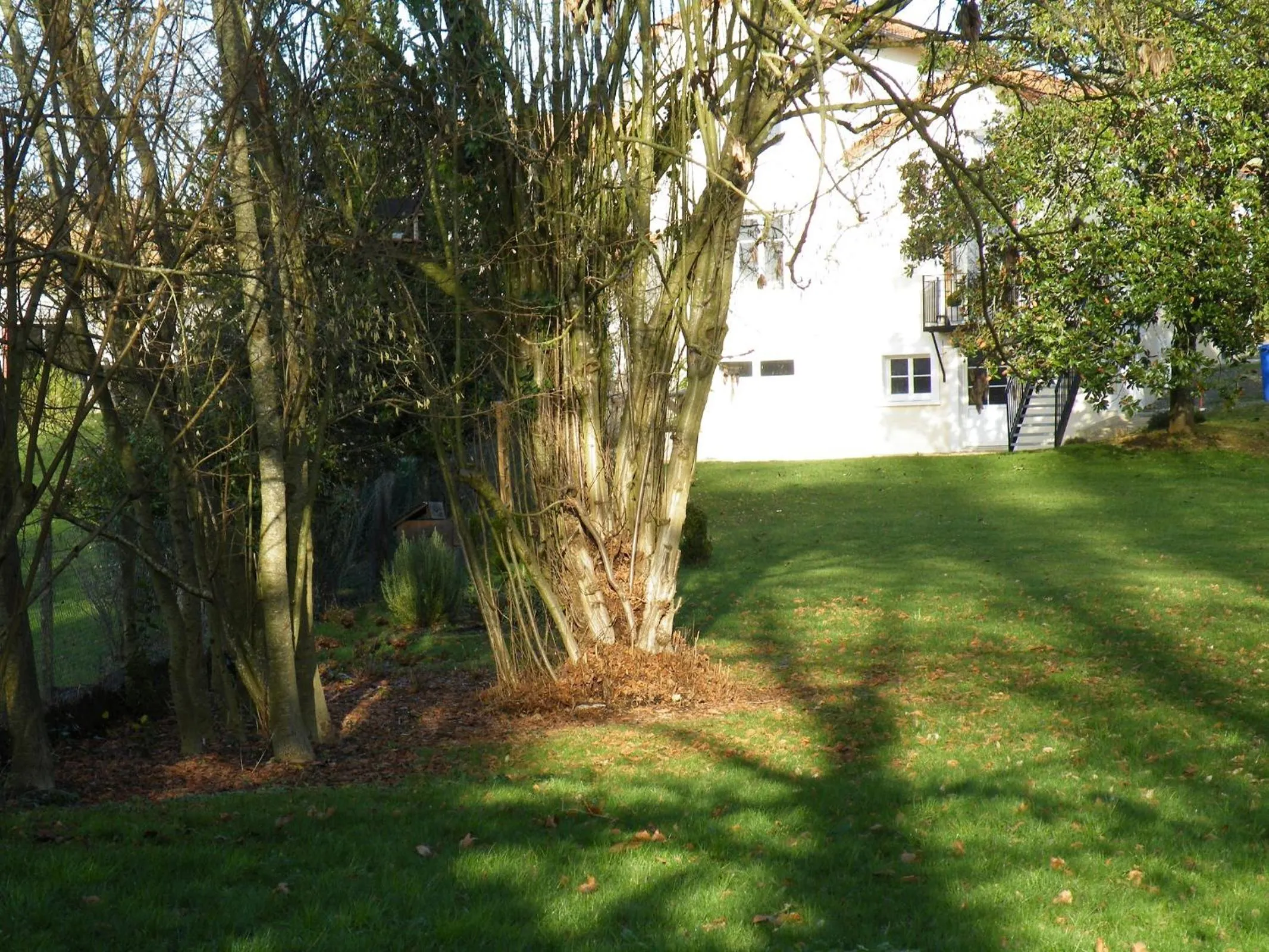 Garden in La Villa Camille