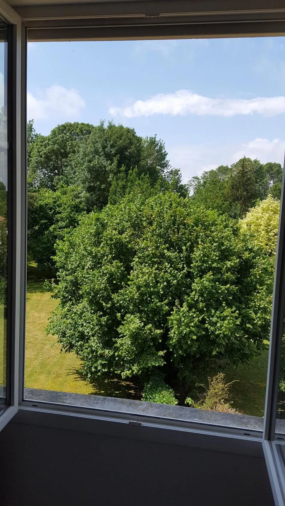 Garden in La Villa Camille