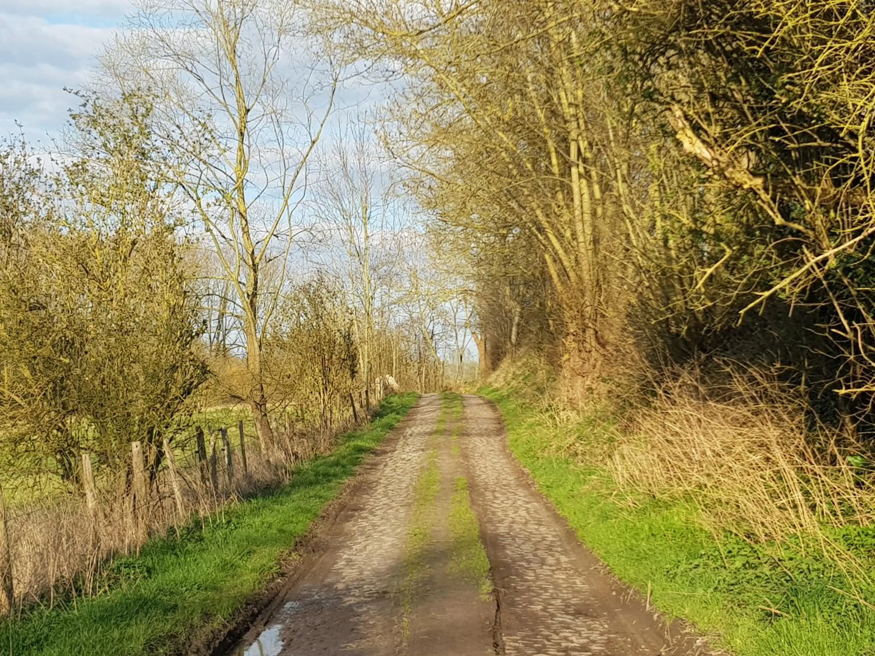 Neighbourhood in Boslucht Leuven