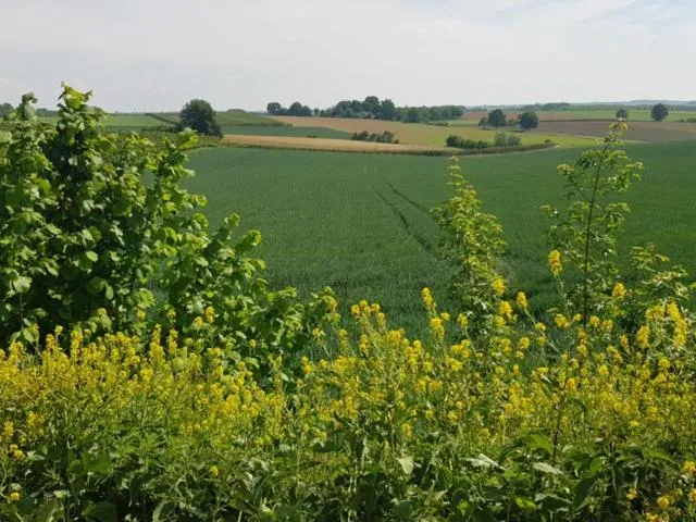 Neighbourhood in Boslucht Leuven