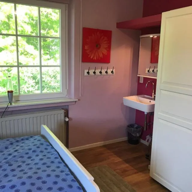 Bed in Boslucht Leuven