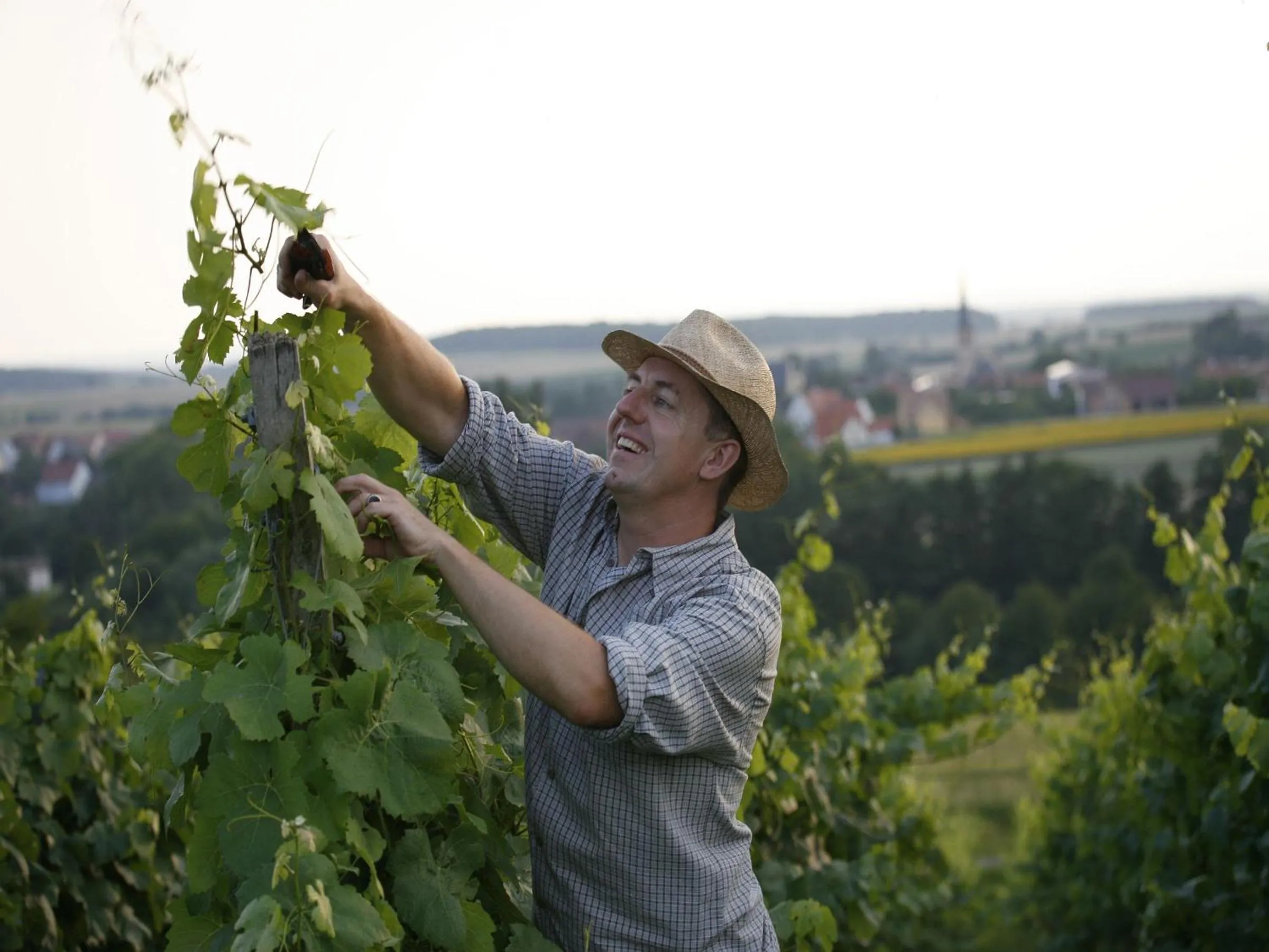 Other in Worners Schloss Weingut & Wellness-Hotel