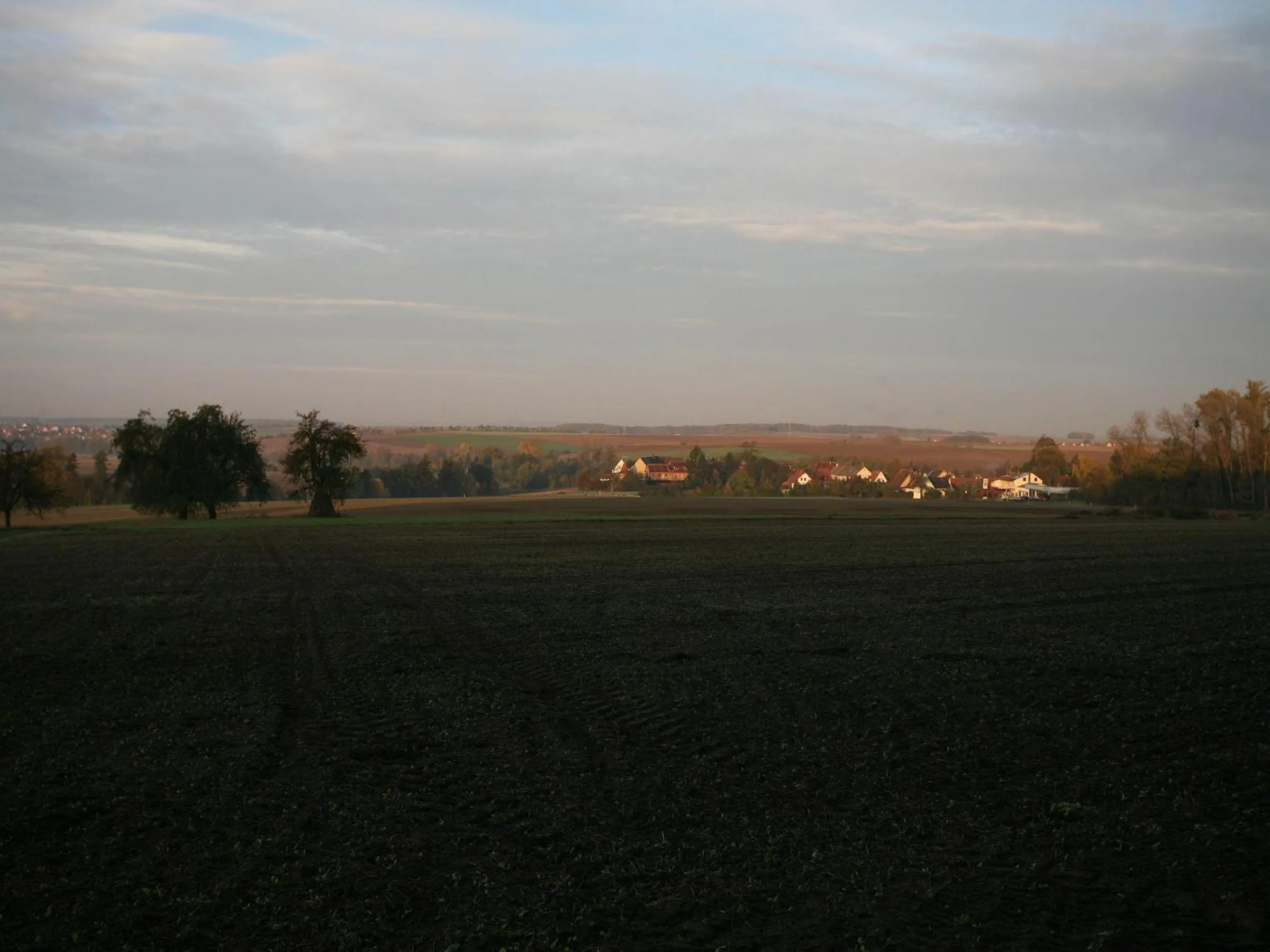 Area and facilities in Worners Schloss Weingut & Wellness-Hotel