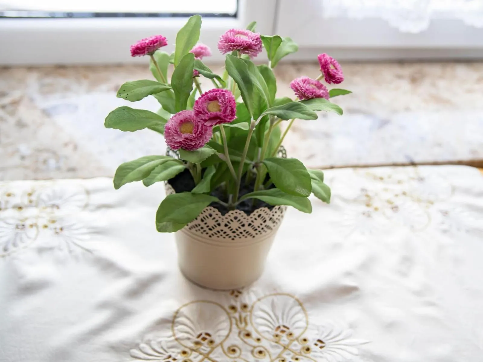 Photo of the whole room in DW Maria 2