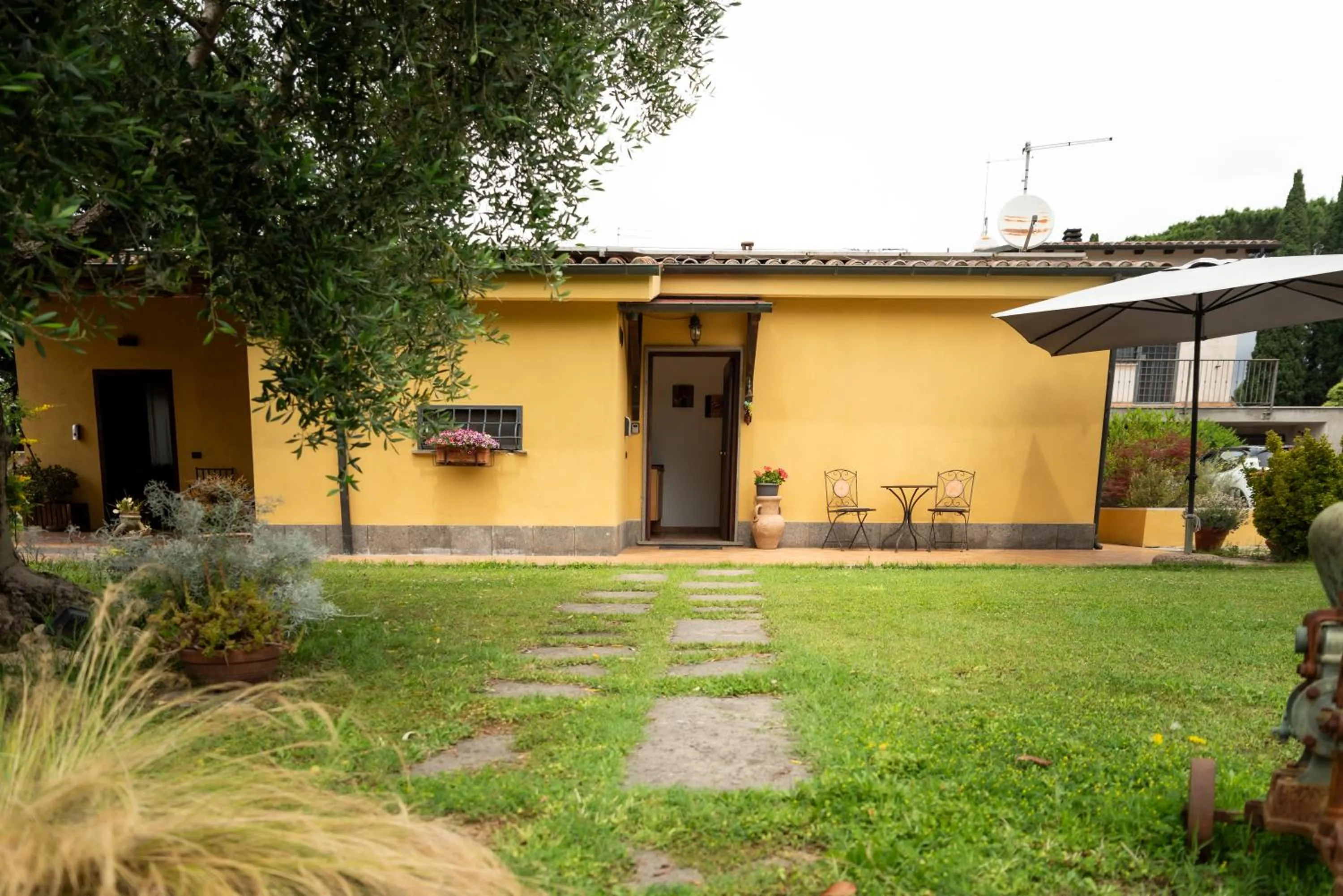 L'Antico Vigneto