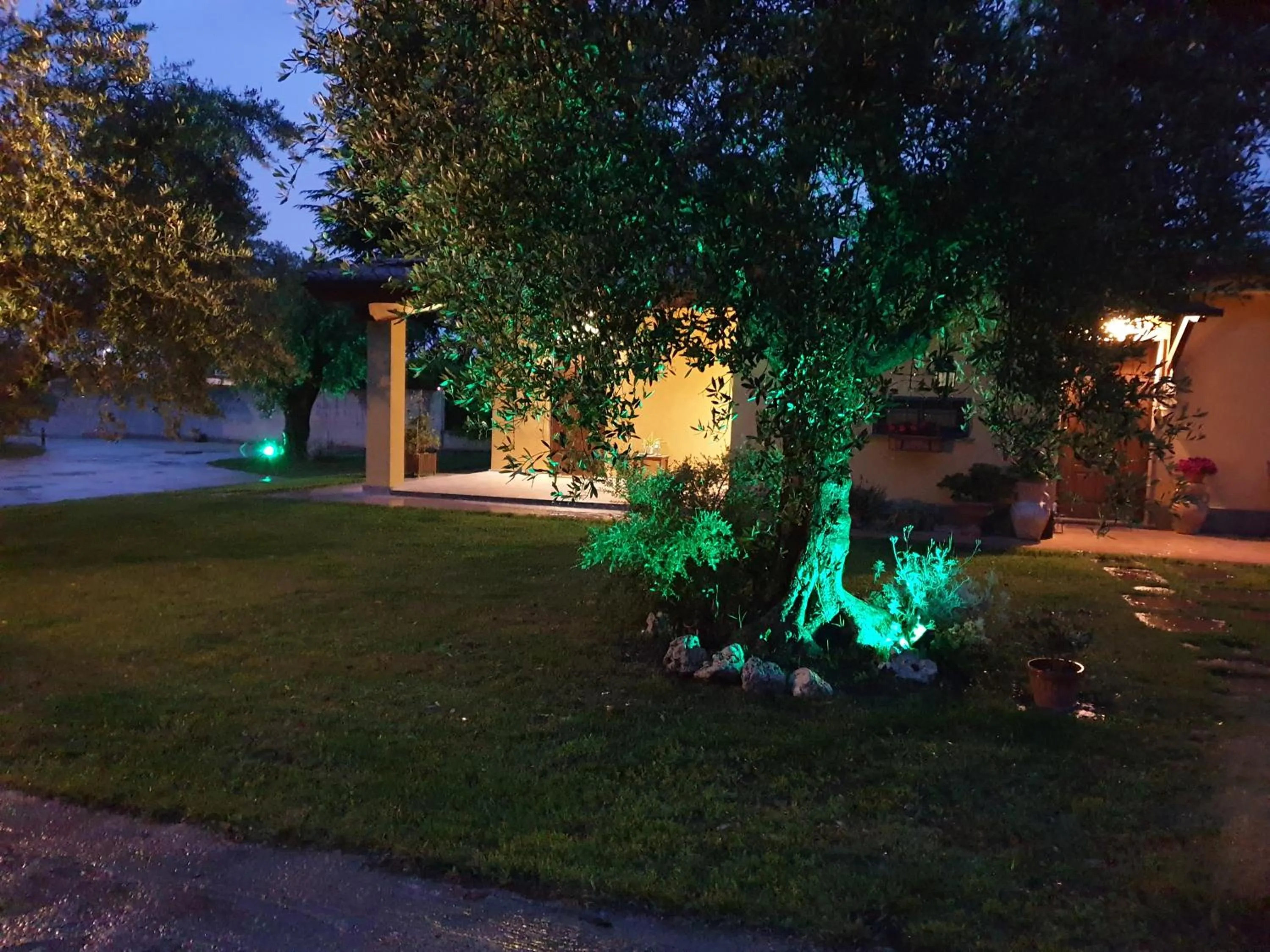 Property building in L'Antico Vigneto