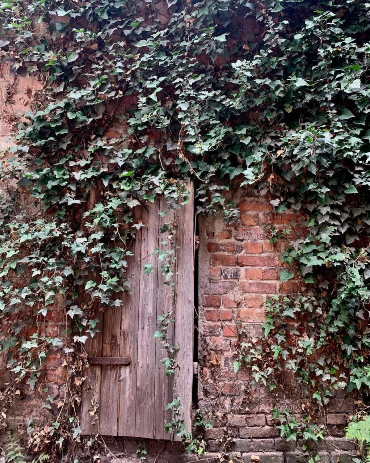 Garden in Hotel zum Heidkrug & Café Lil