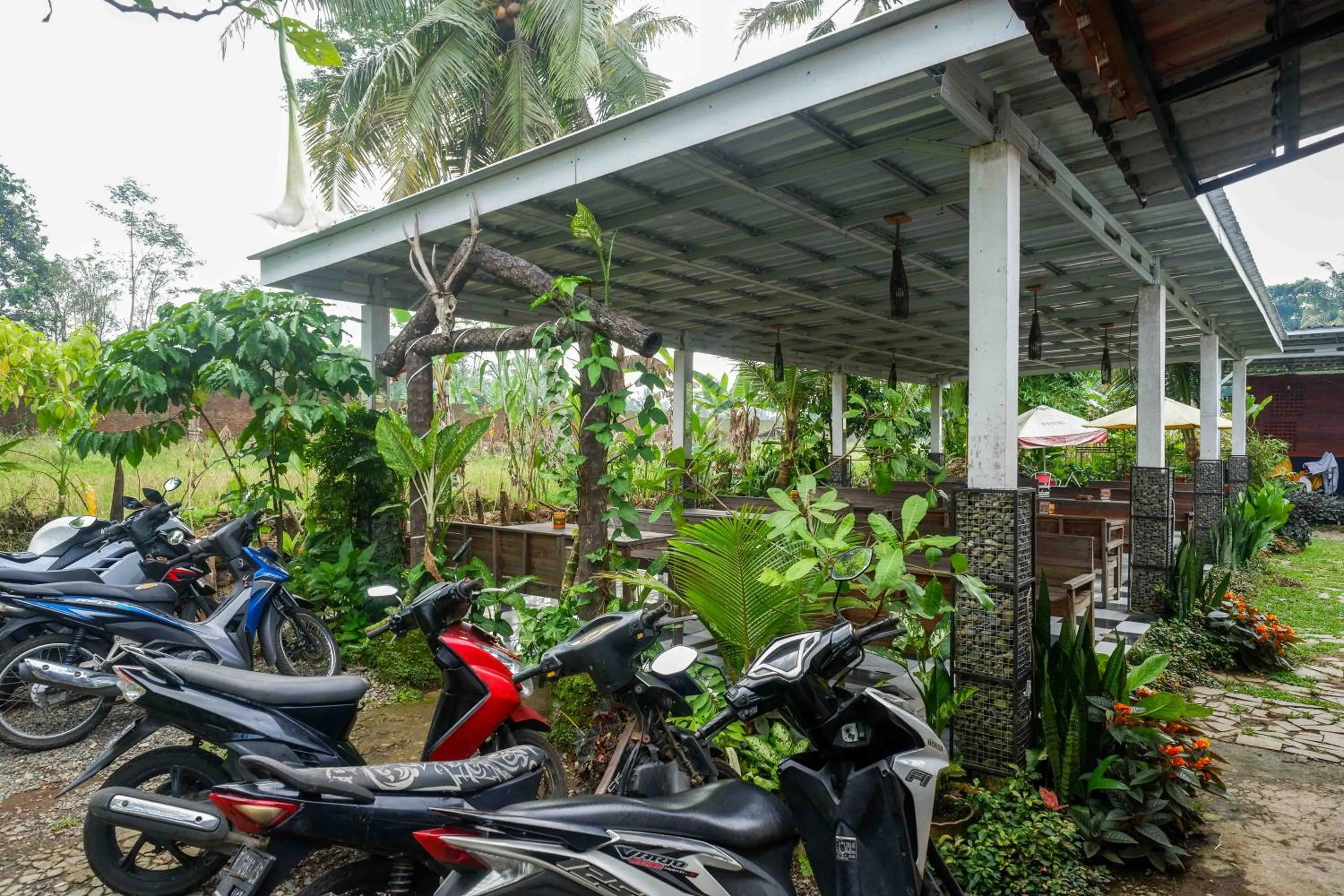 RedDoorz At Jalan Raya Baturaden