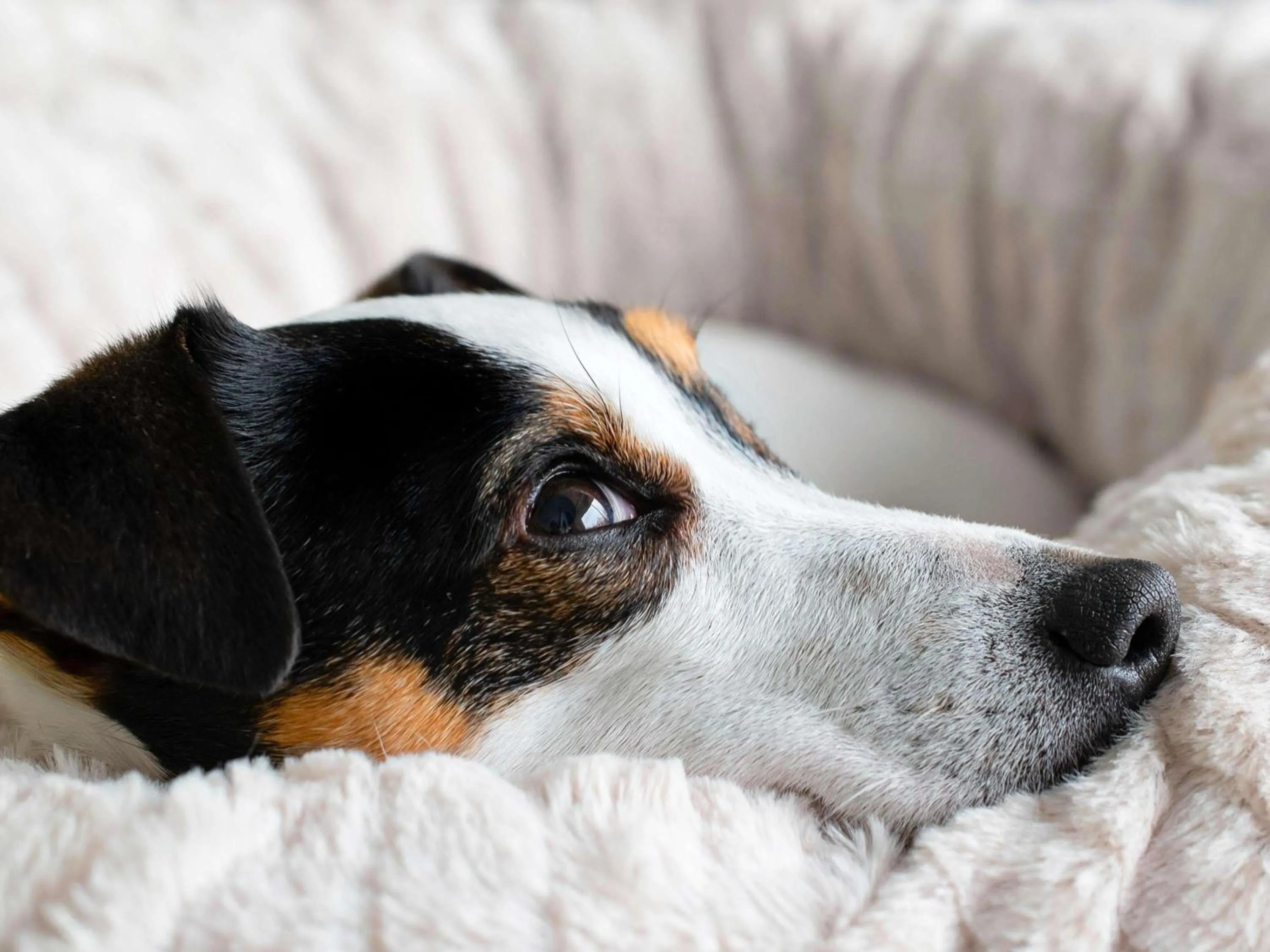 Other in Hôtel Ibis Budget Nantes Nord St Herblain