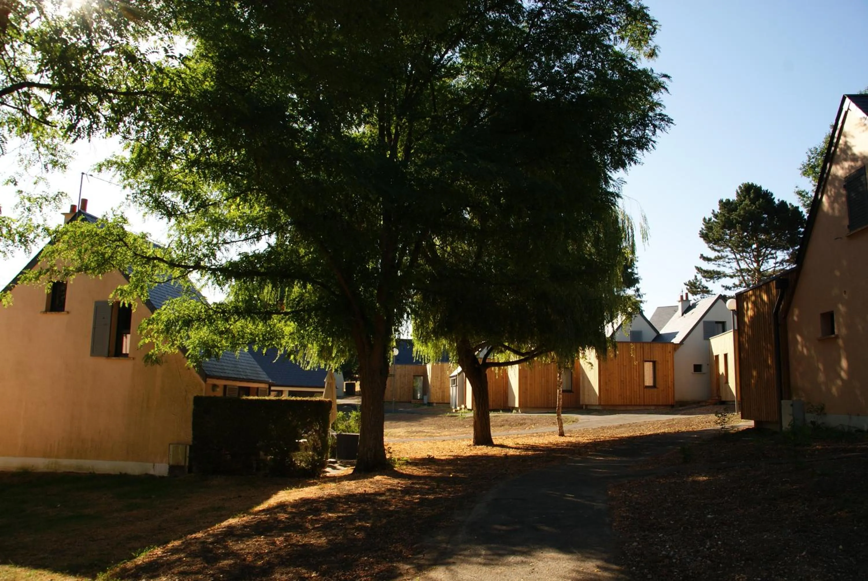 Natural landscape in VVF Amboise Les Châteaux de la Loire