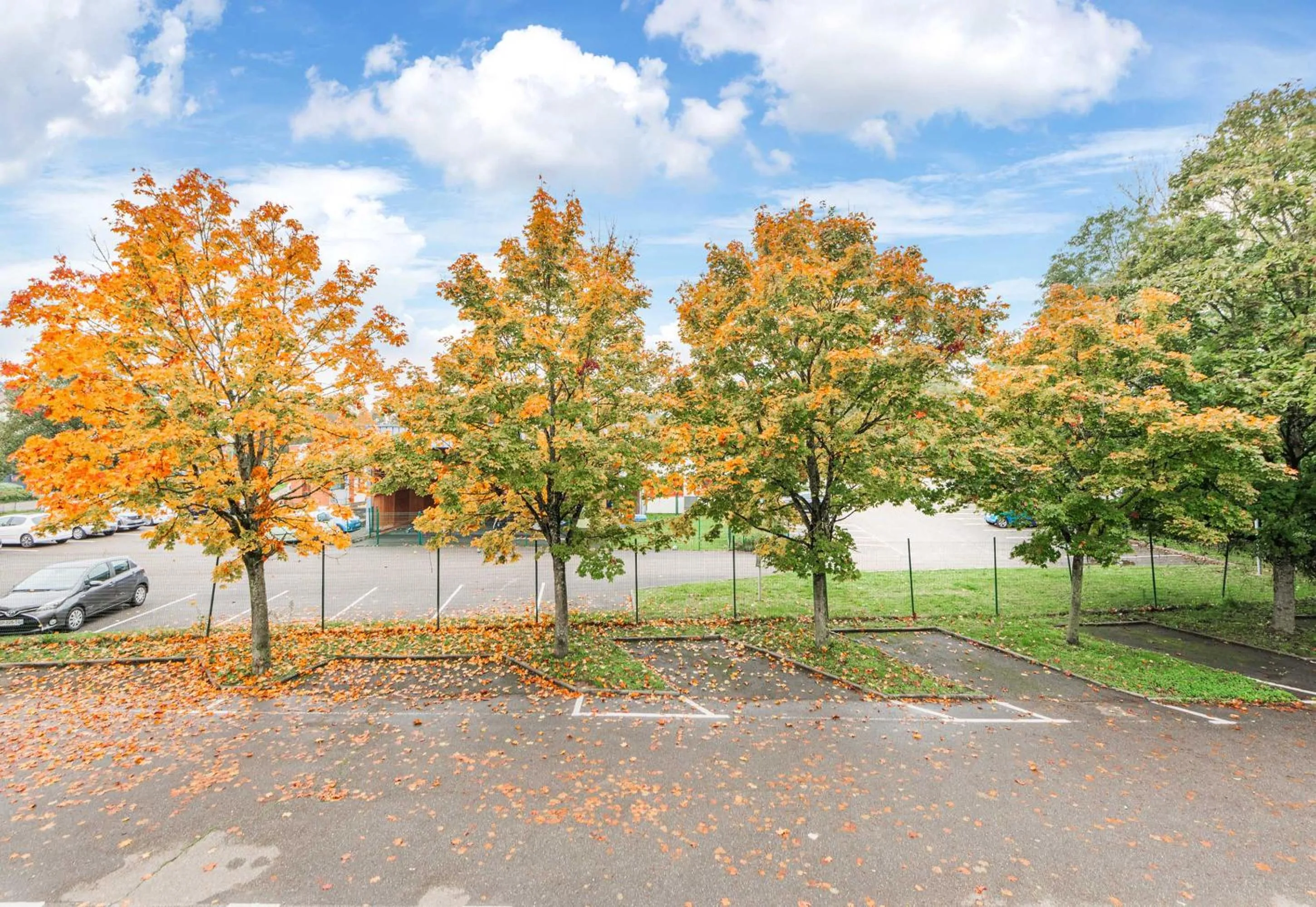 Natural landscape in B&B HOTEL Mulhouse Dornach