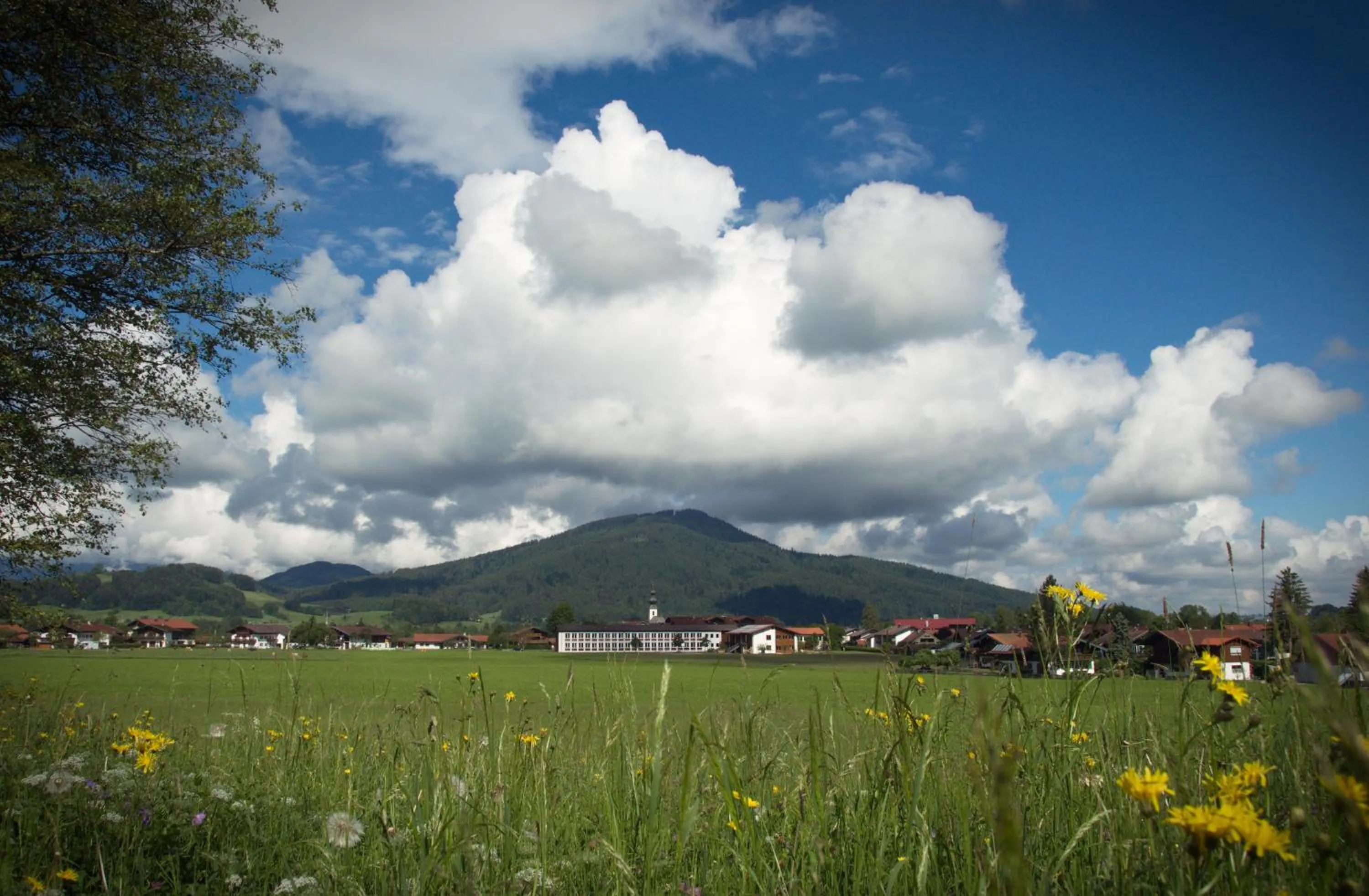 Natural landscape in Landhotel Binderhäusl Garni