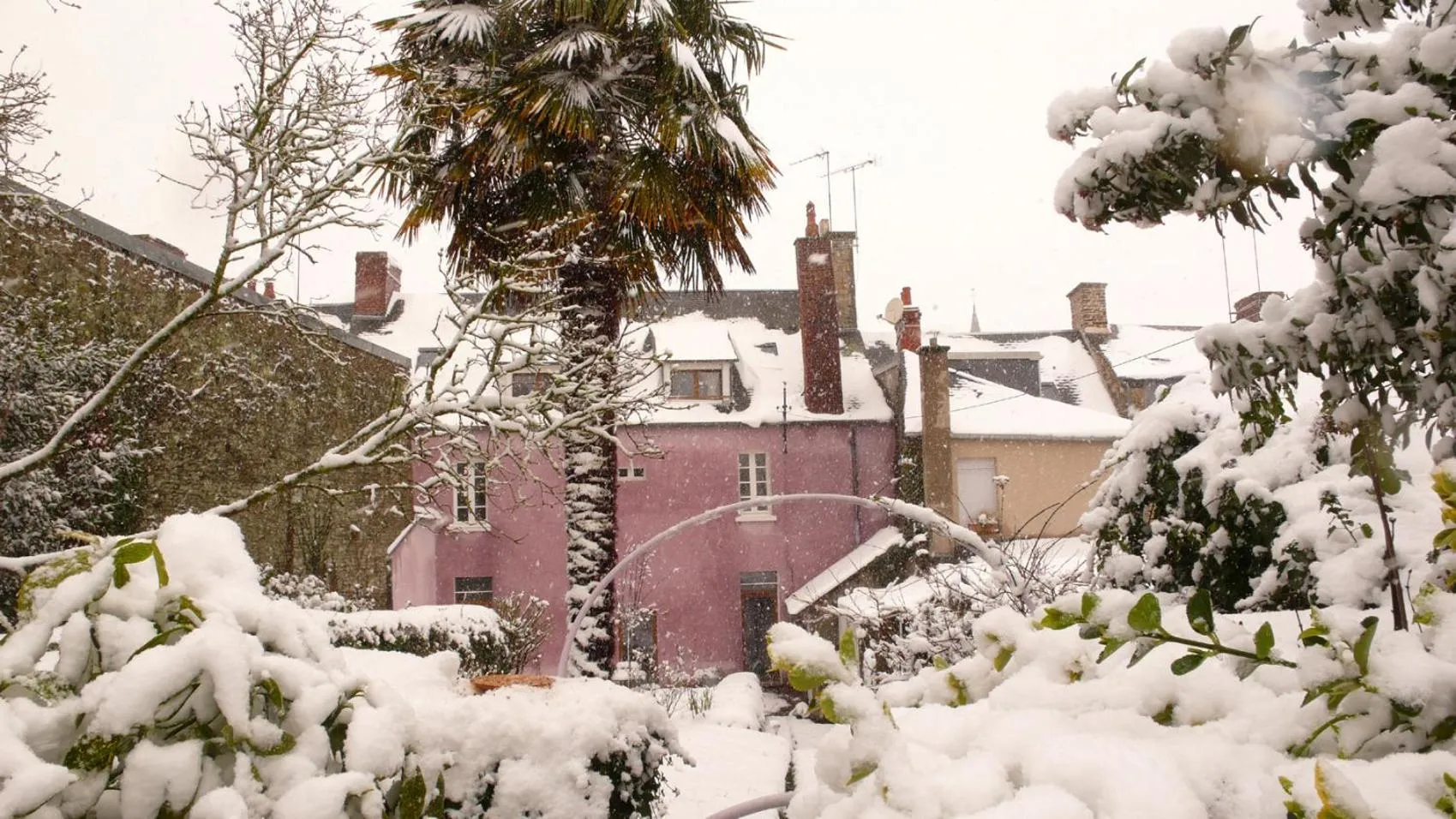 Garden in Villa Mons